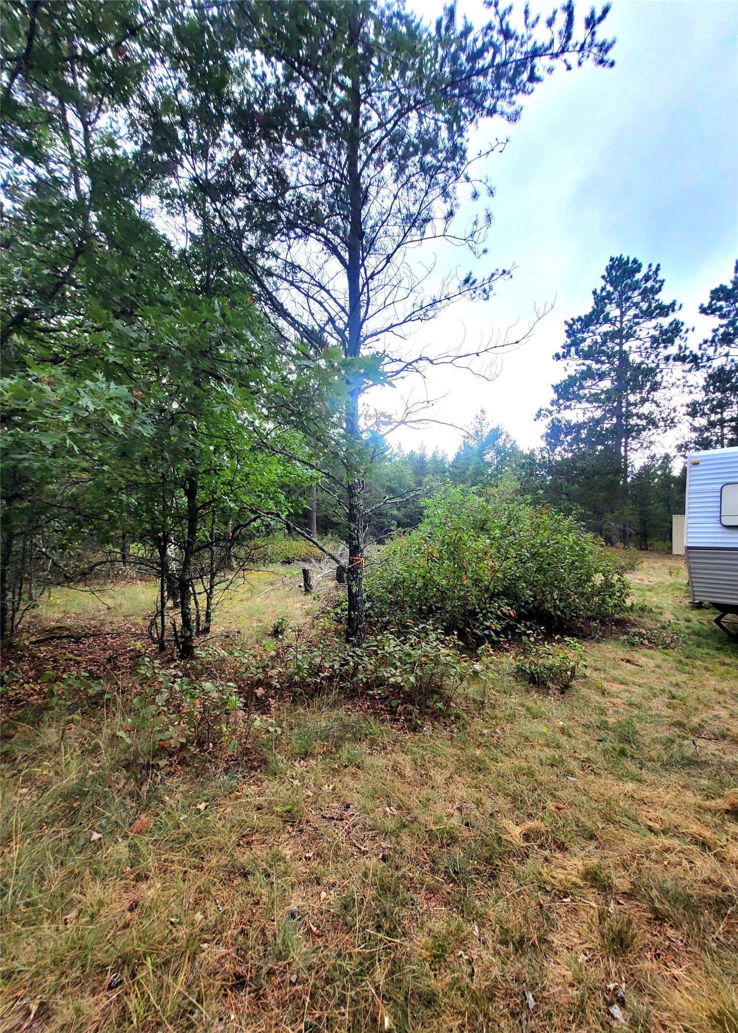 0 Blueberry Road Property Photo 30