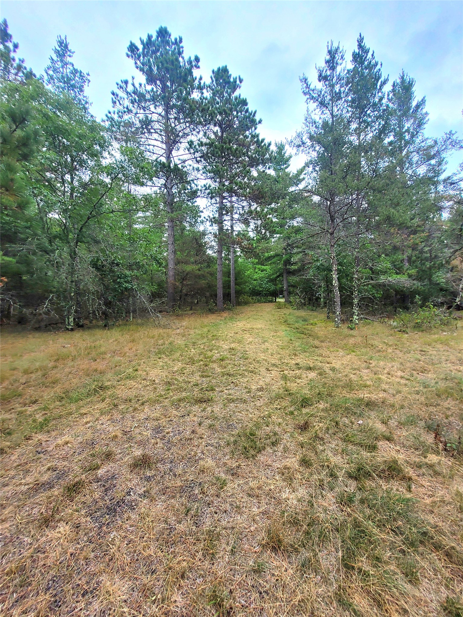 0 Blueberry Road Property Photo 31