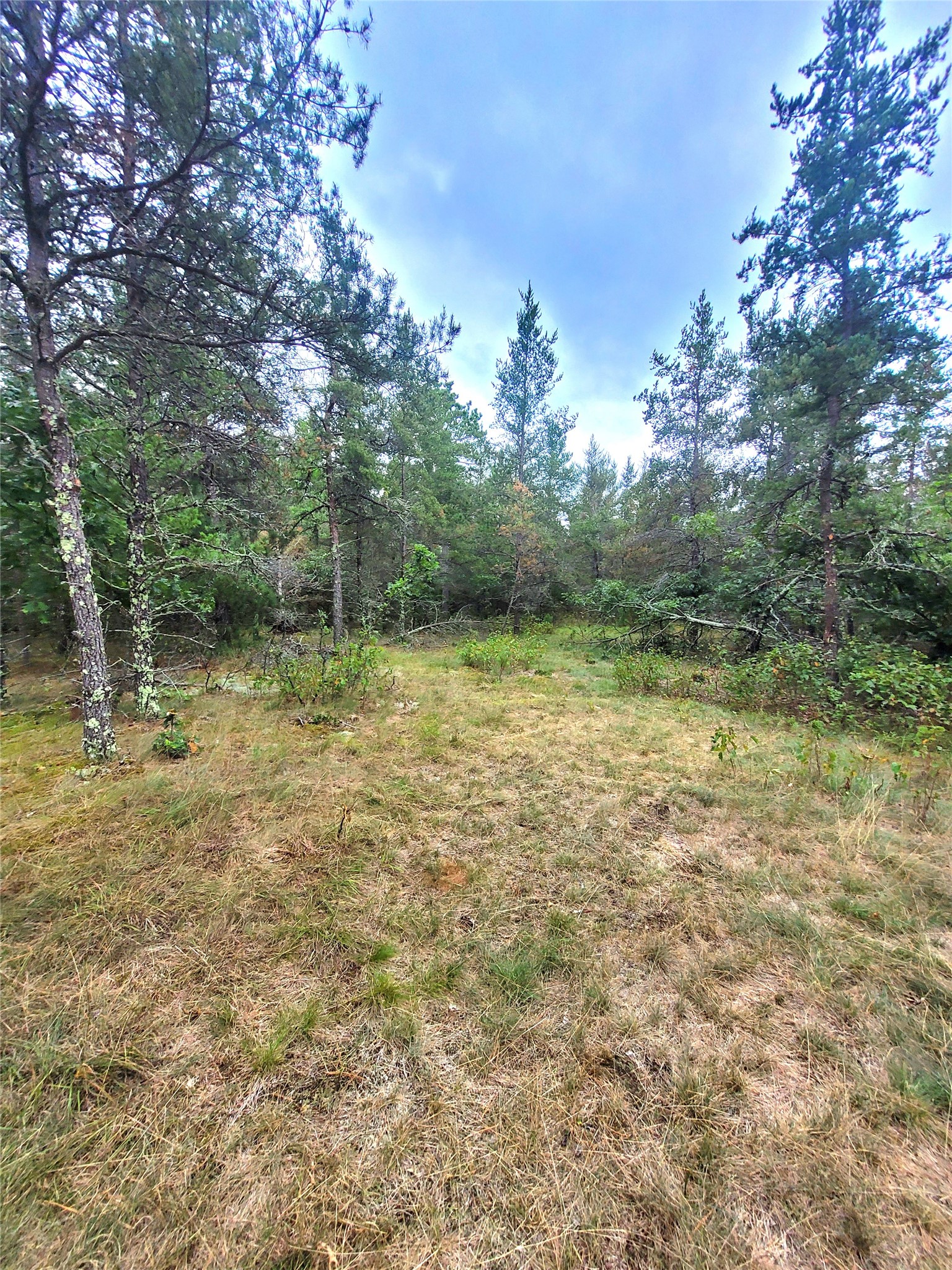 0 Blueberry Road Property Photo 32