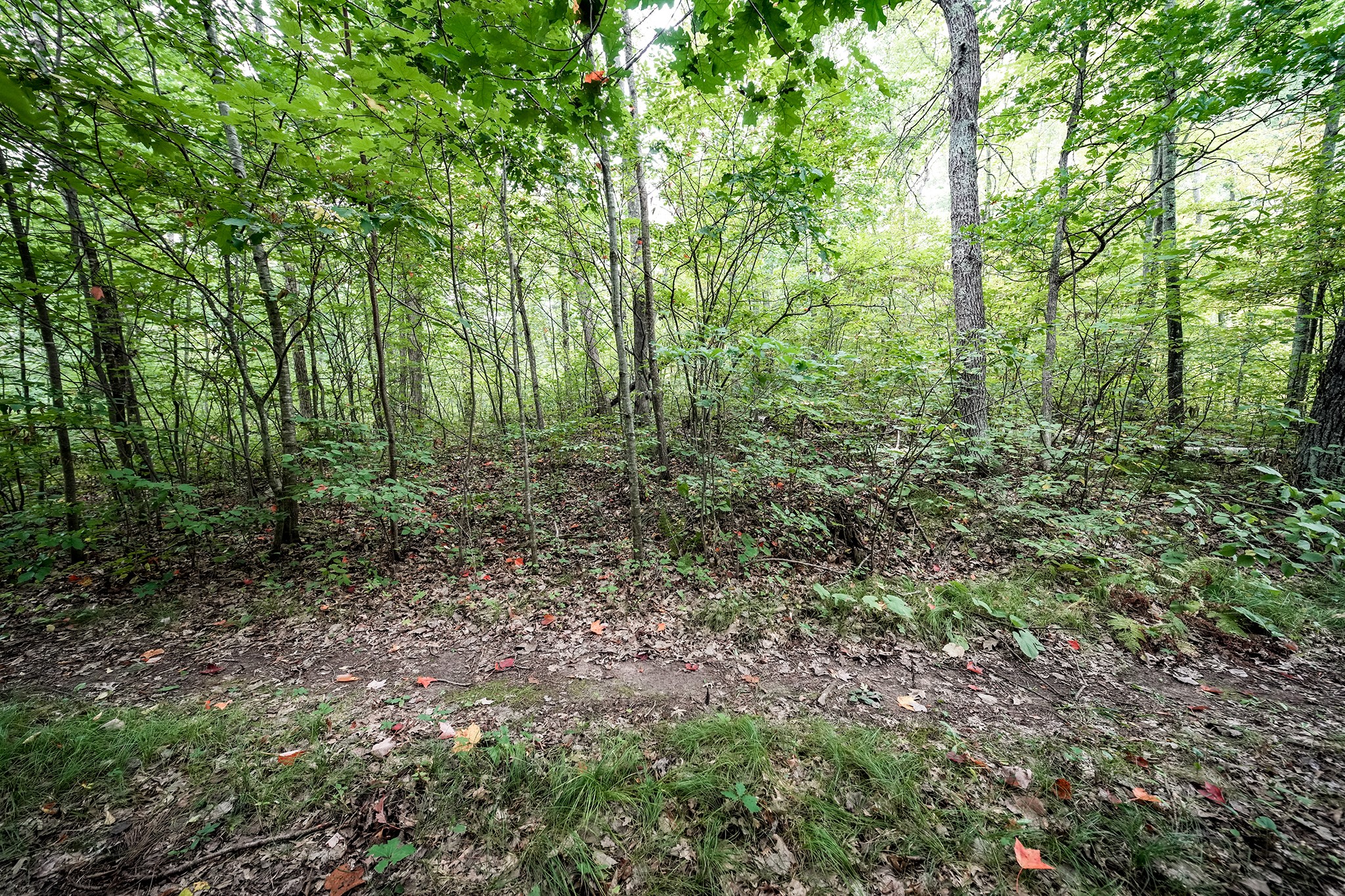 Xxx Pretty Road Property Photo 6