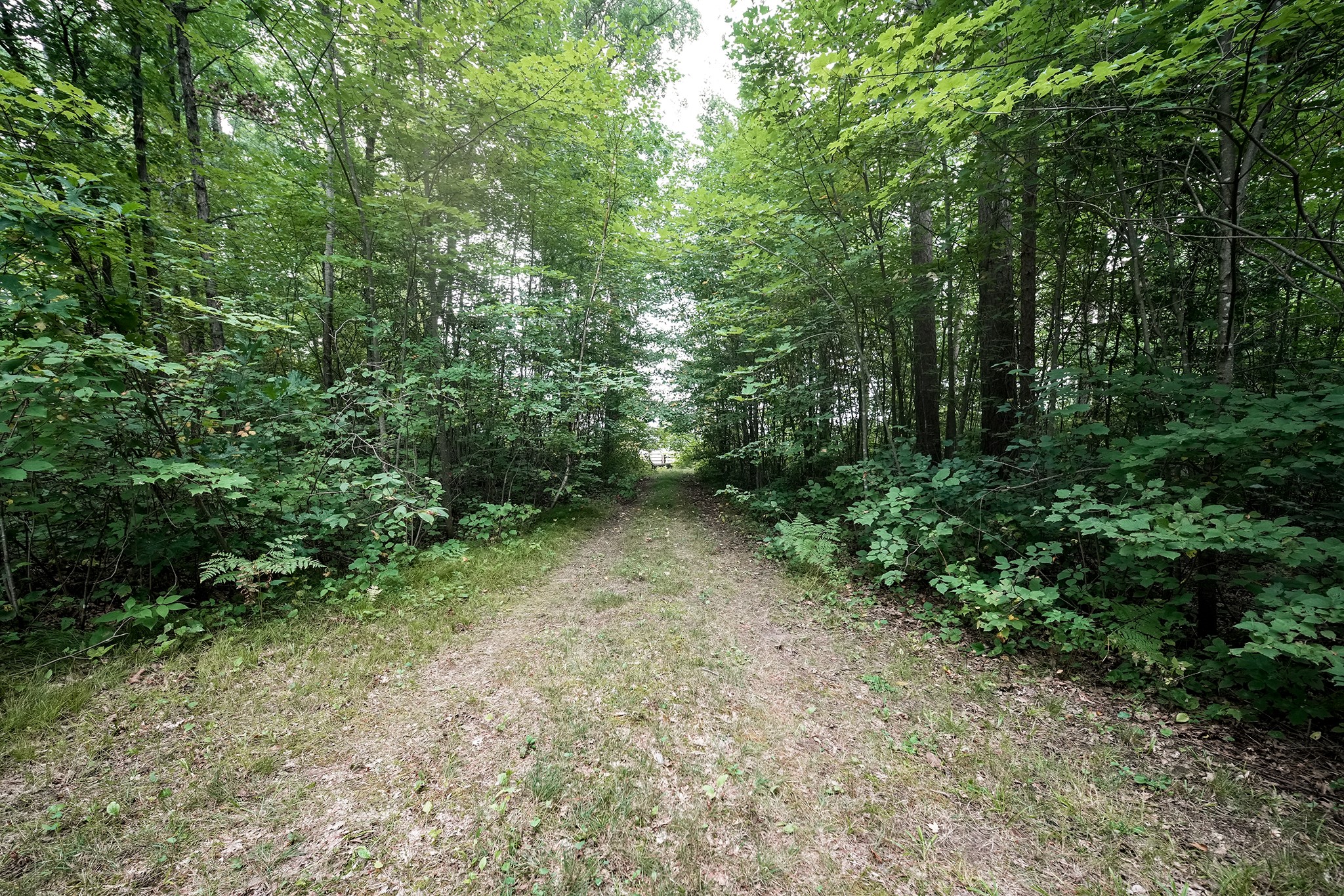 Xxx Pretty Road Property Photo 11