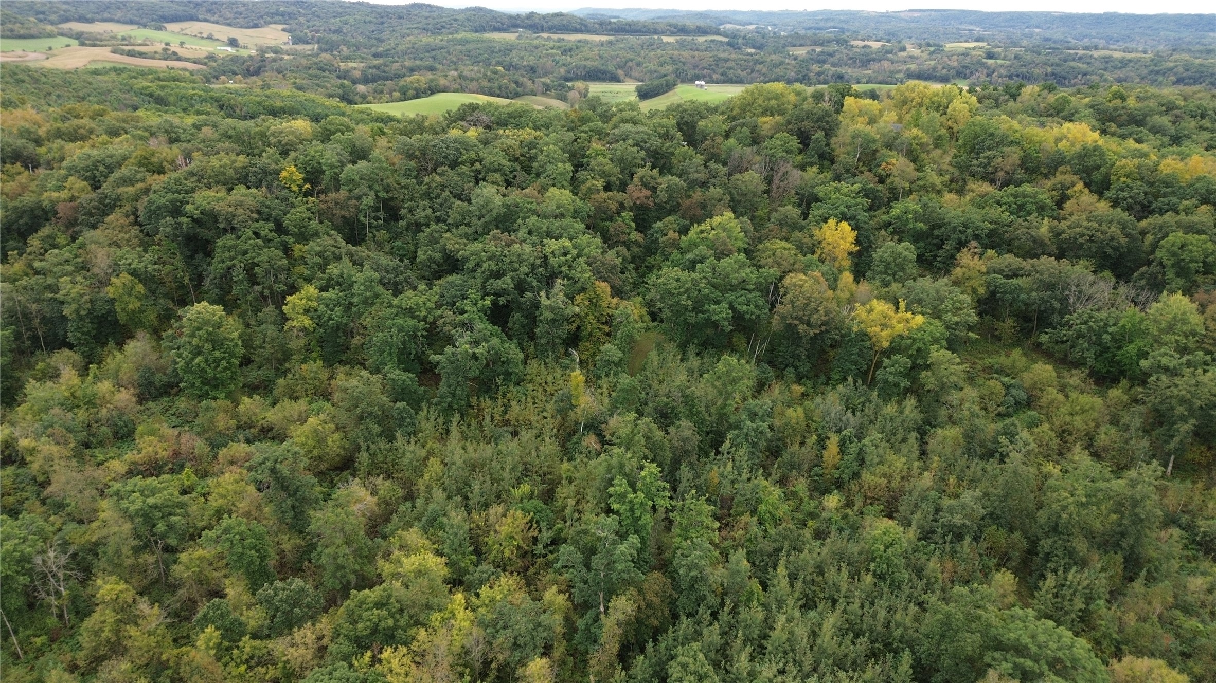 S828 Julson Ridge Road Property Photo 33