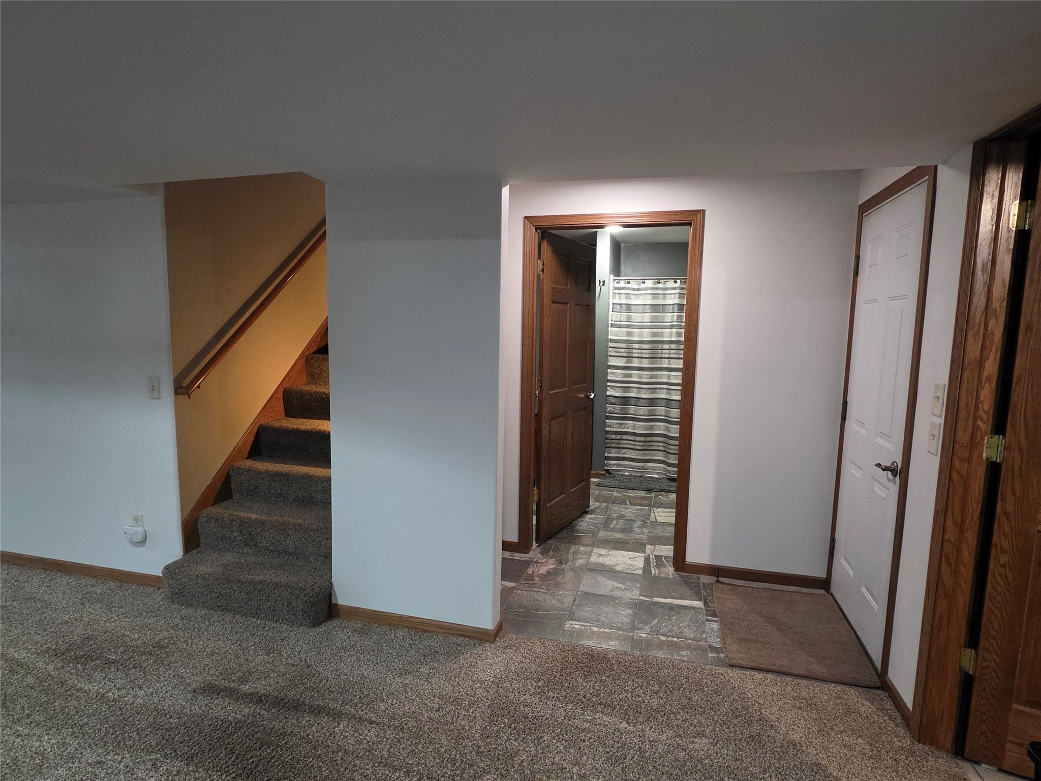 4508 Springfield Drive Property Photo 28