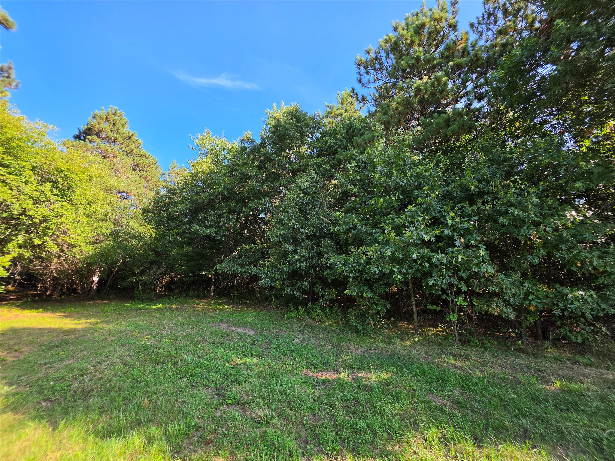 0 Buena Vista Road Property Photo 2
