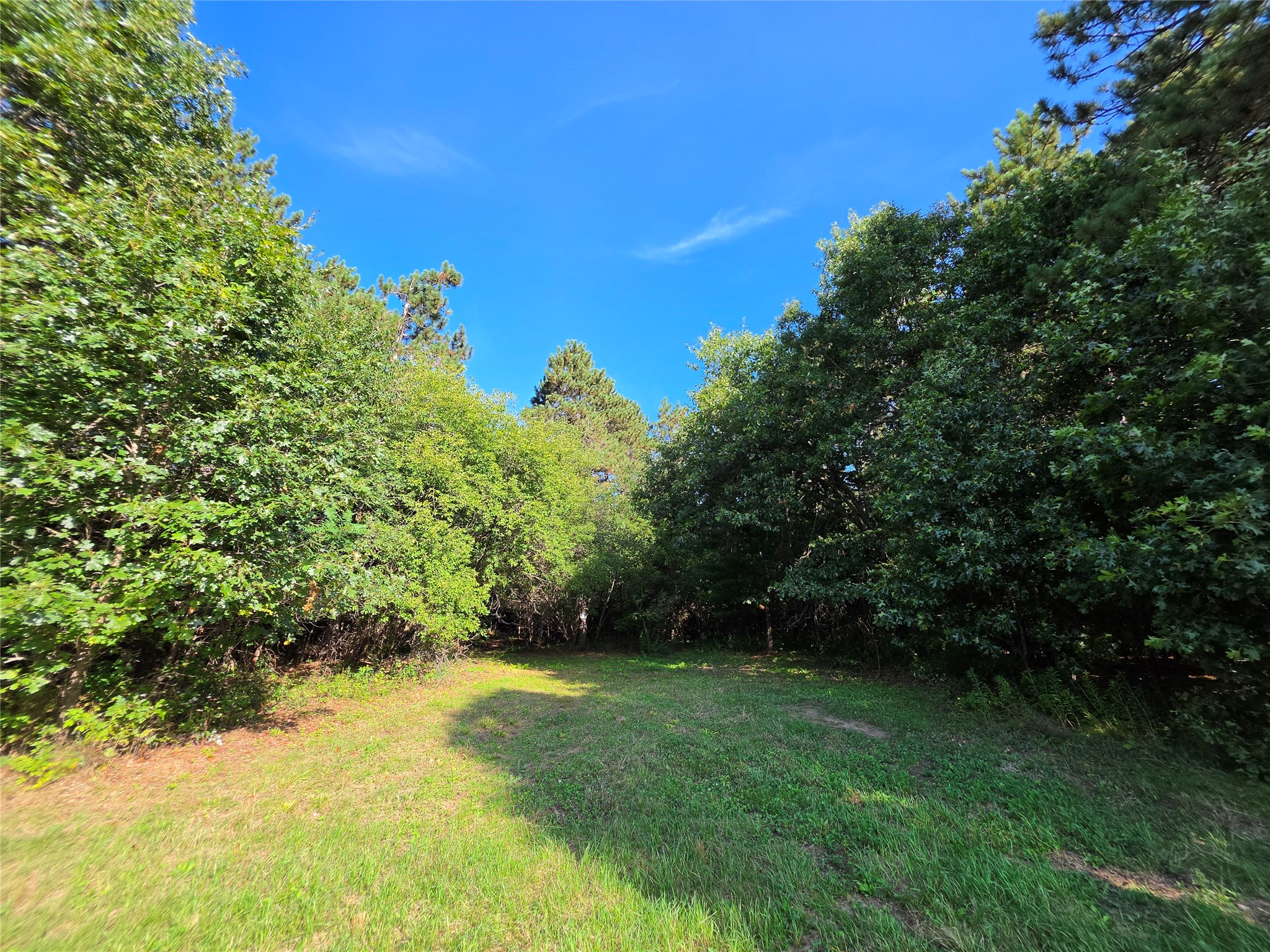 0 Buena Vista Road Property Photo 3