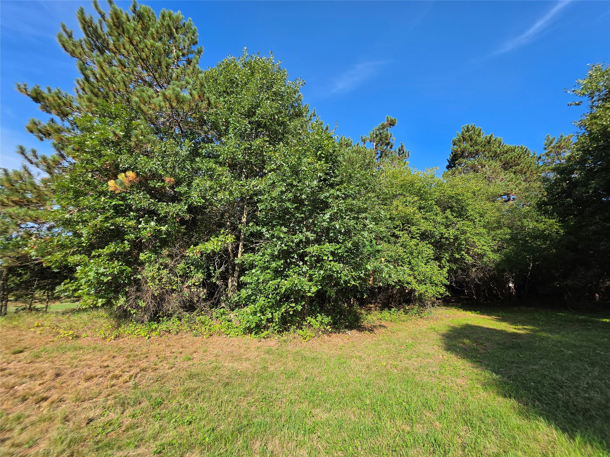 0 Buena Vista Road Property Photo 4