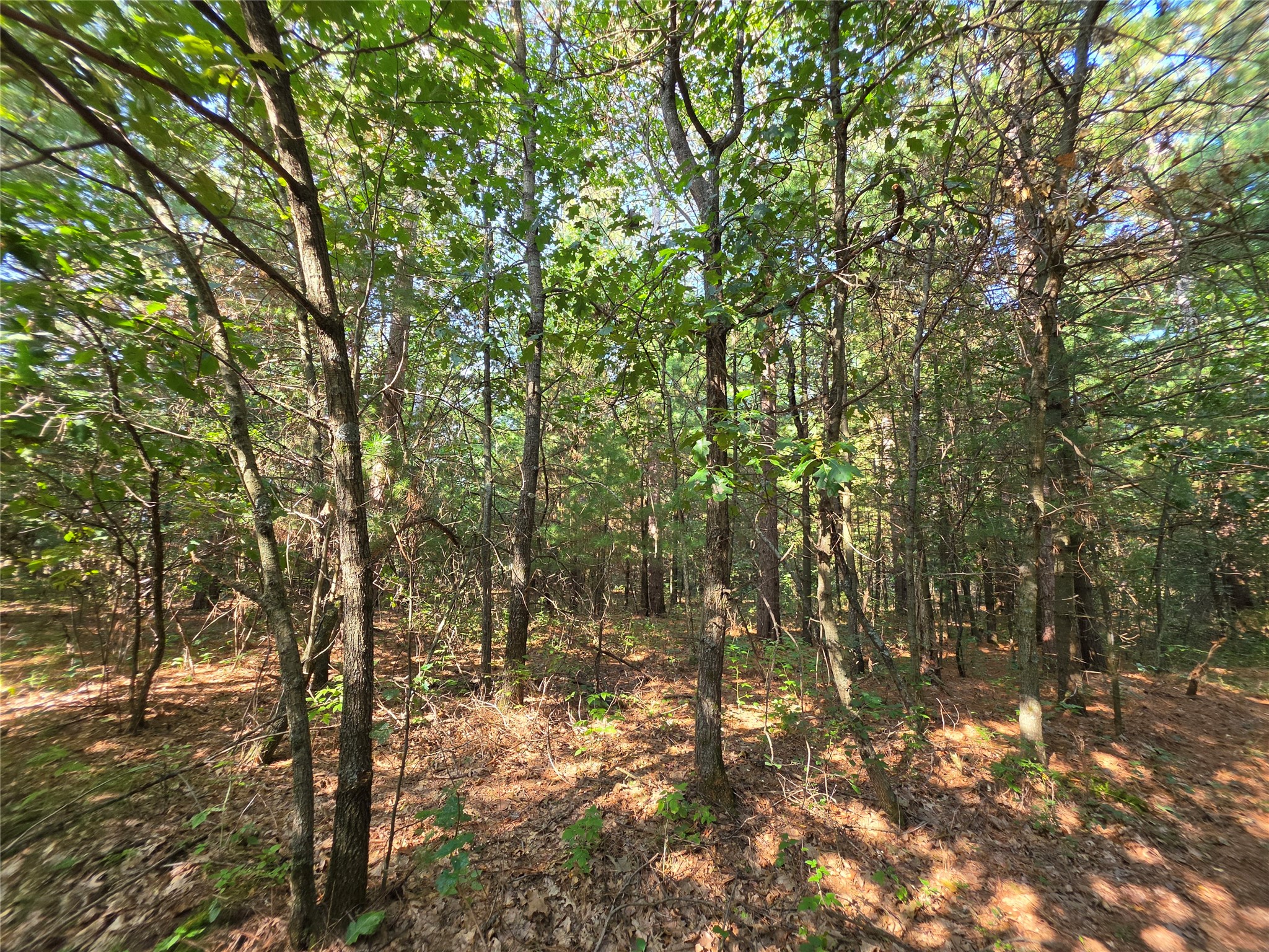 0 Buena Vista Road Property Photo 10