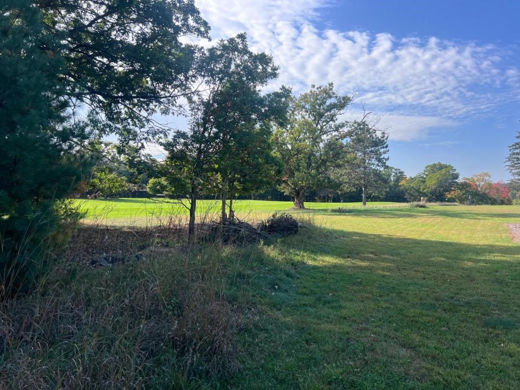 Lot 38 Meadow Green Road Property Photo 3