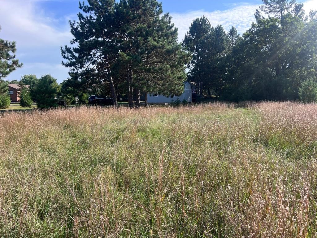 Lot 38 Meadow Green Road Property Photo 8