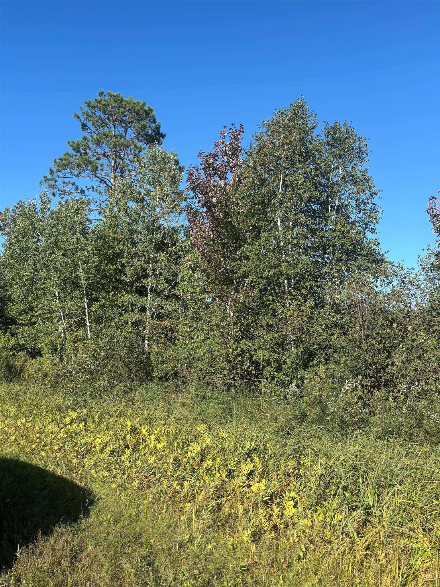 8360 S Old 11 Road Property Photo 3