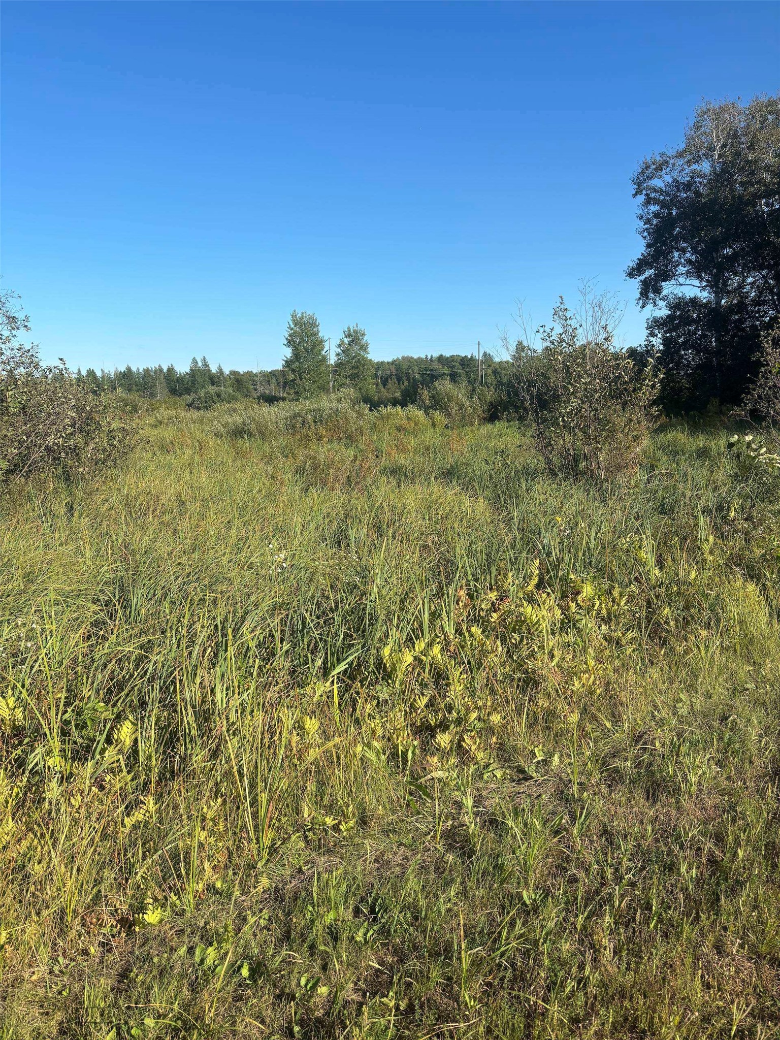 8360 S Old 11 Road Property Photo 5