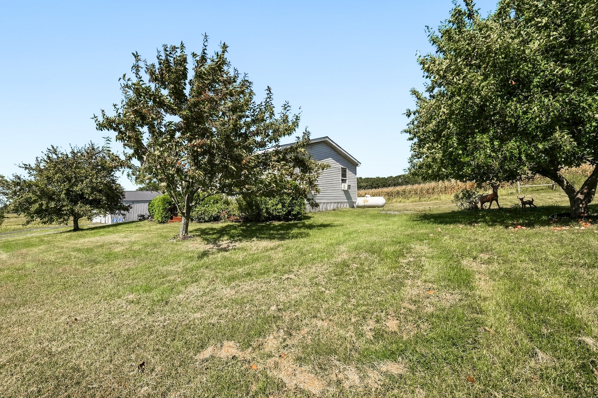 740 Witte Road Property Photo 20
