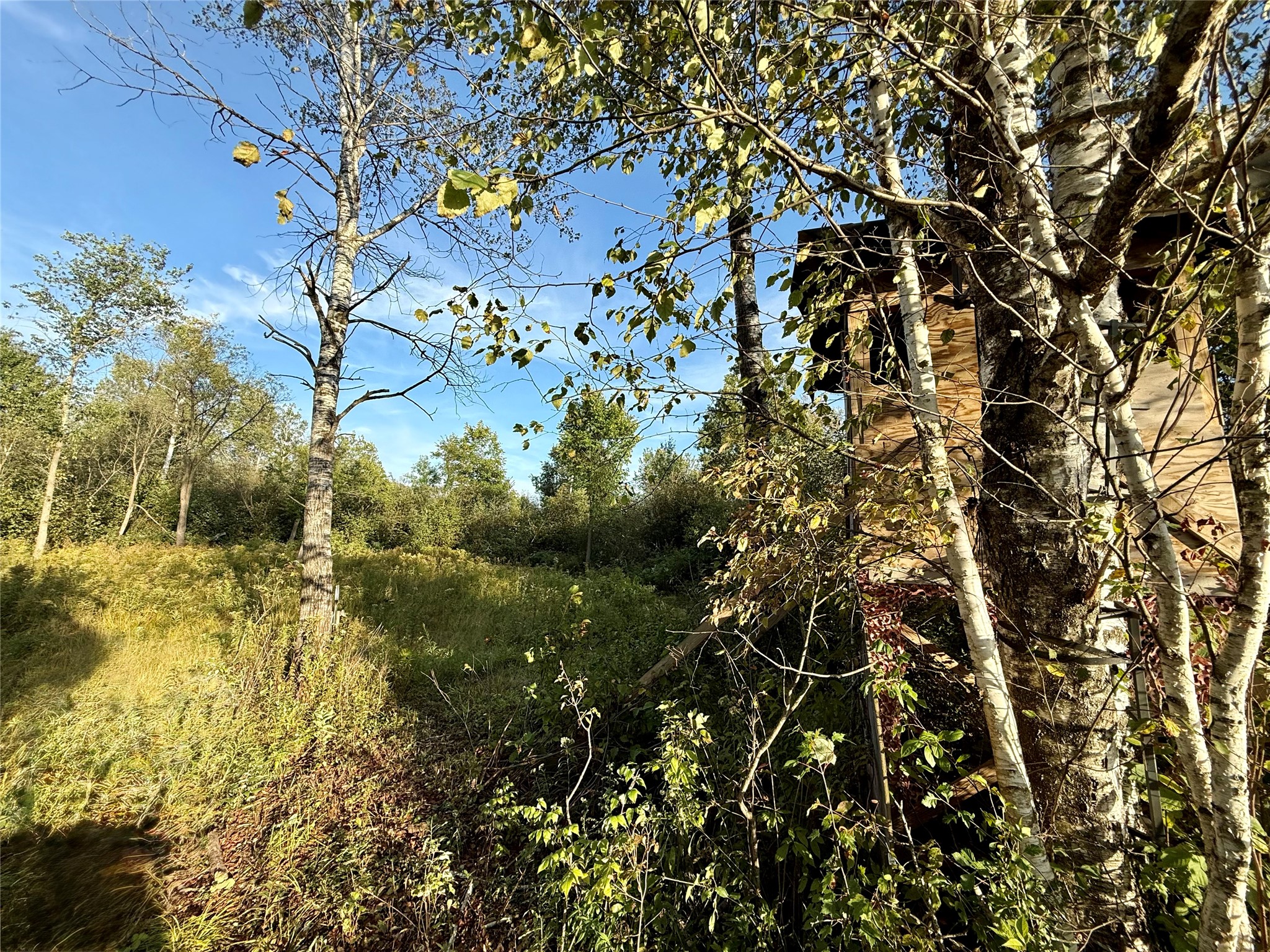 Xx County Road N Property Photo 4