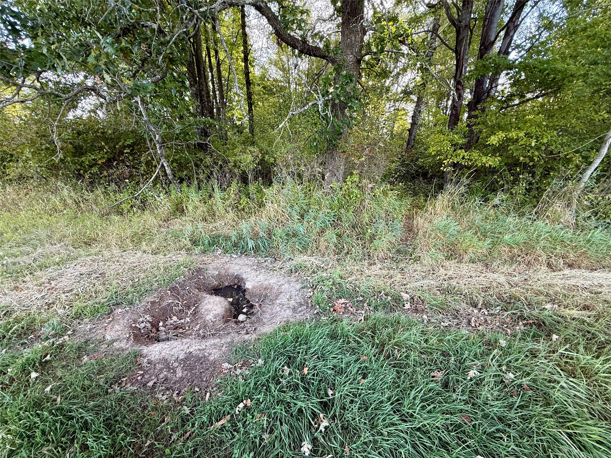 Xx County Road N Property Photo 8