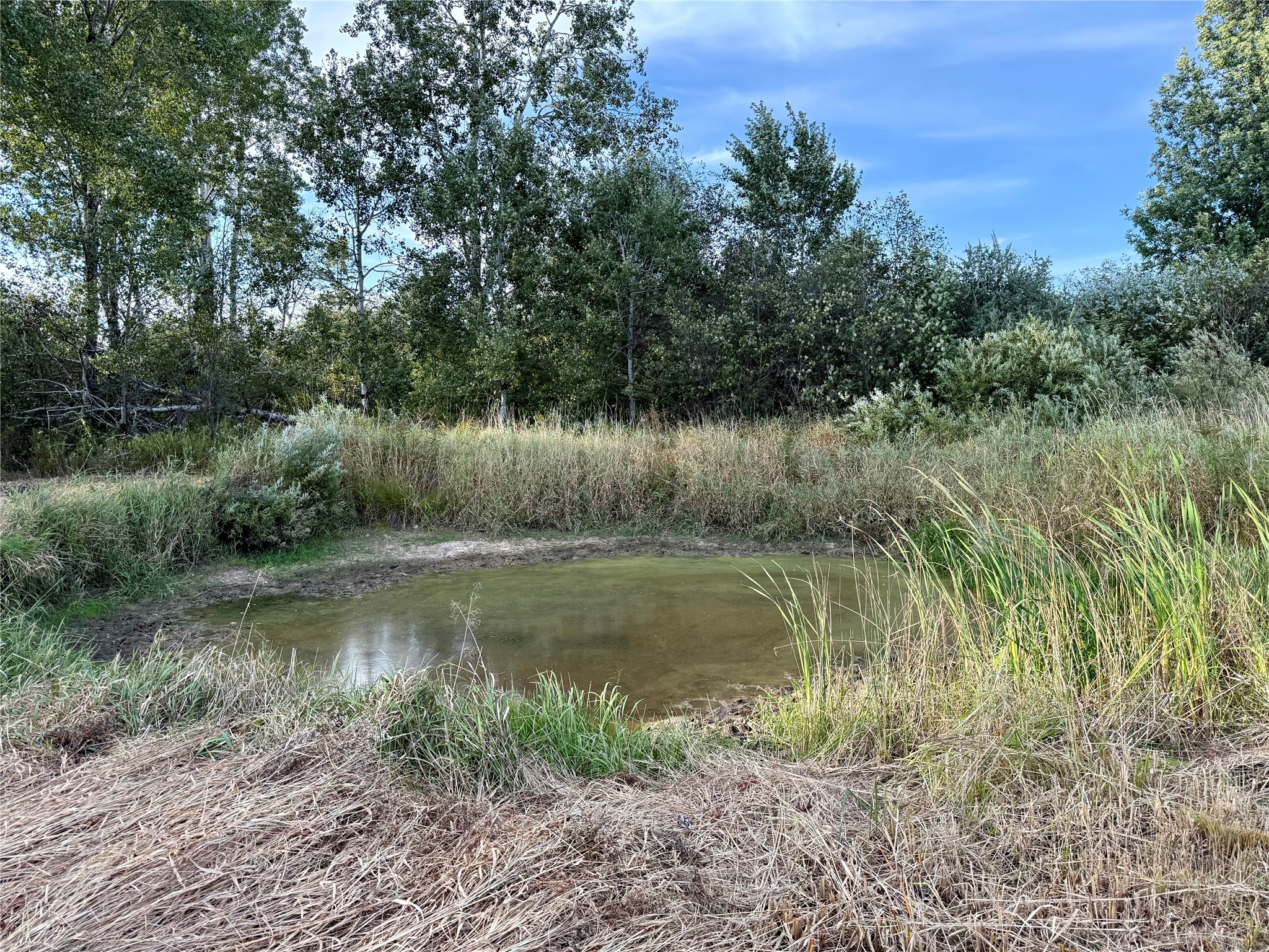 Xx County Road N Property Photo 10
