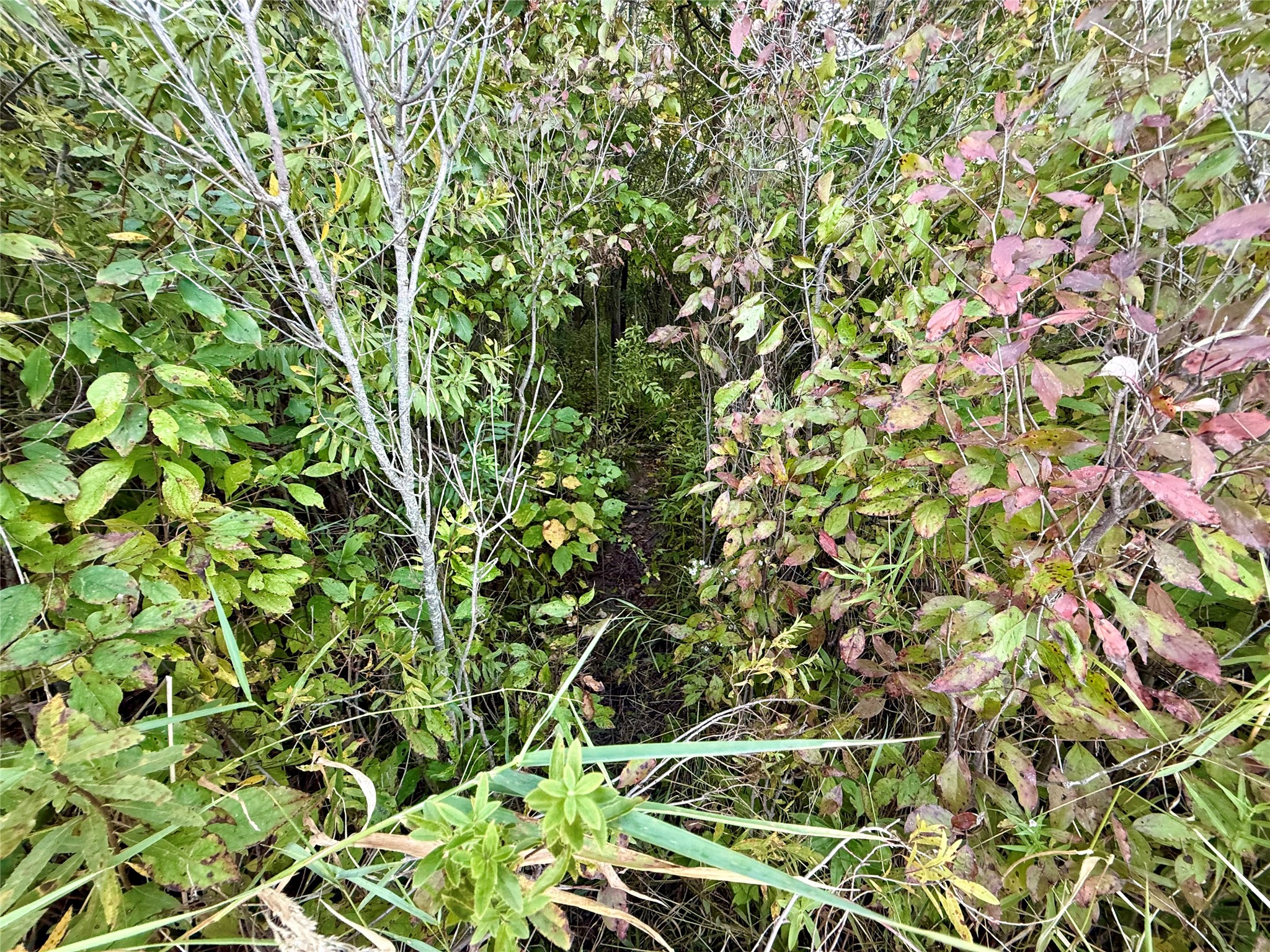 Xx County Road N Property Photo 16