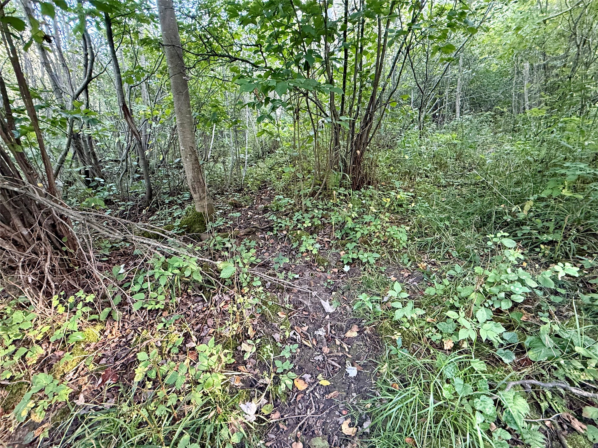 Xx County Road N Property Photo 17