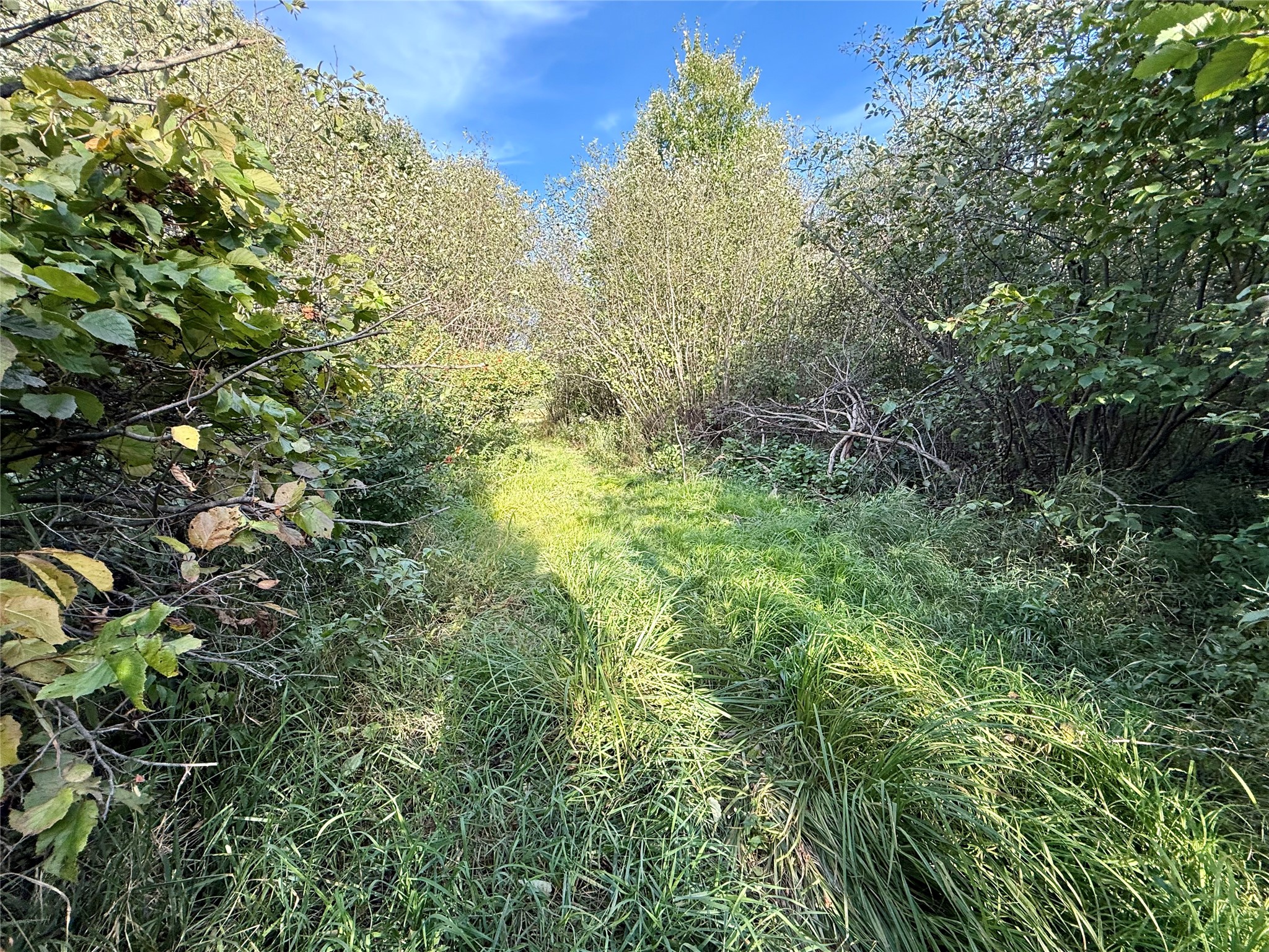Xx County Road N Property Photo 18