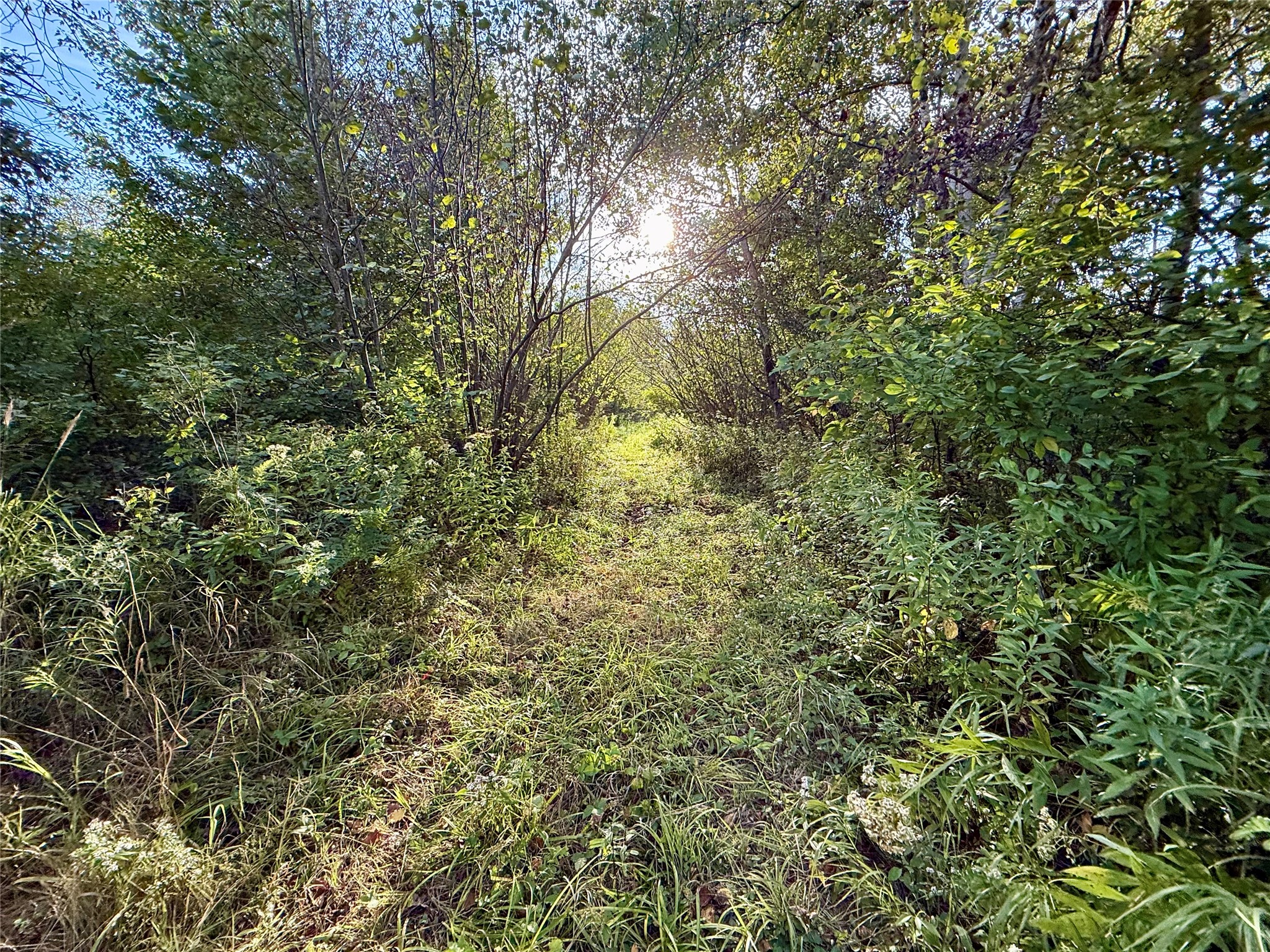 Xx County Road N Property Photo 19