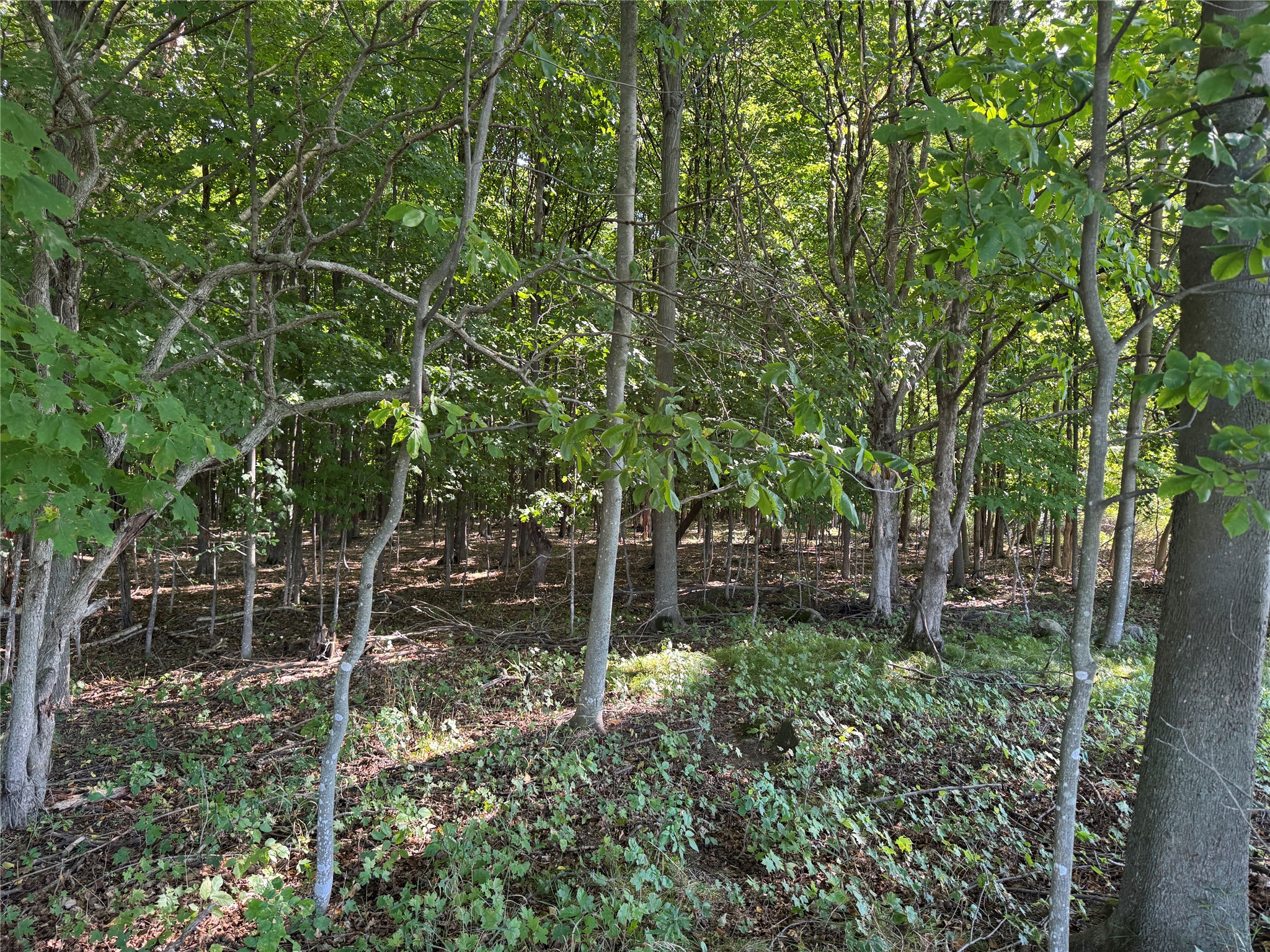 Ooo County Road L Property Photo 5