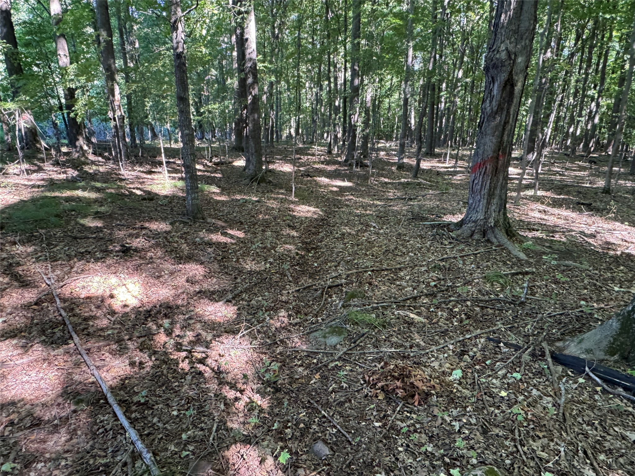 Ooo County Road L Property Photo 10
