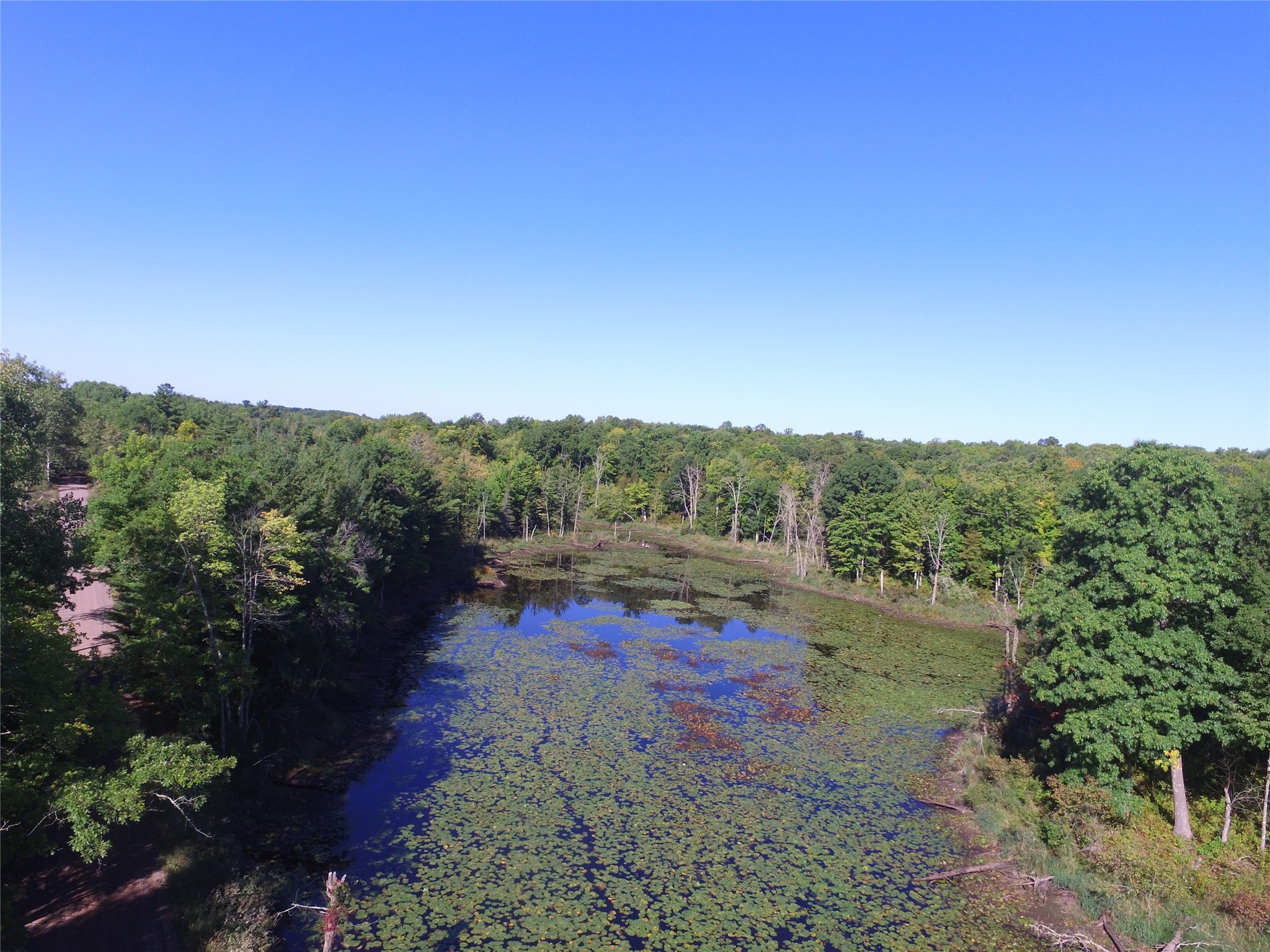 00 W State Highway 48 Property Photo 15