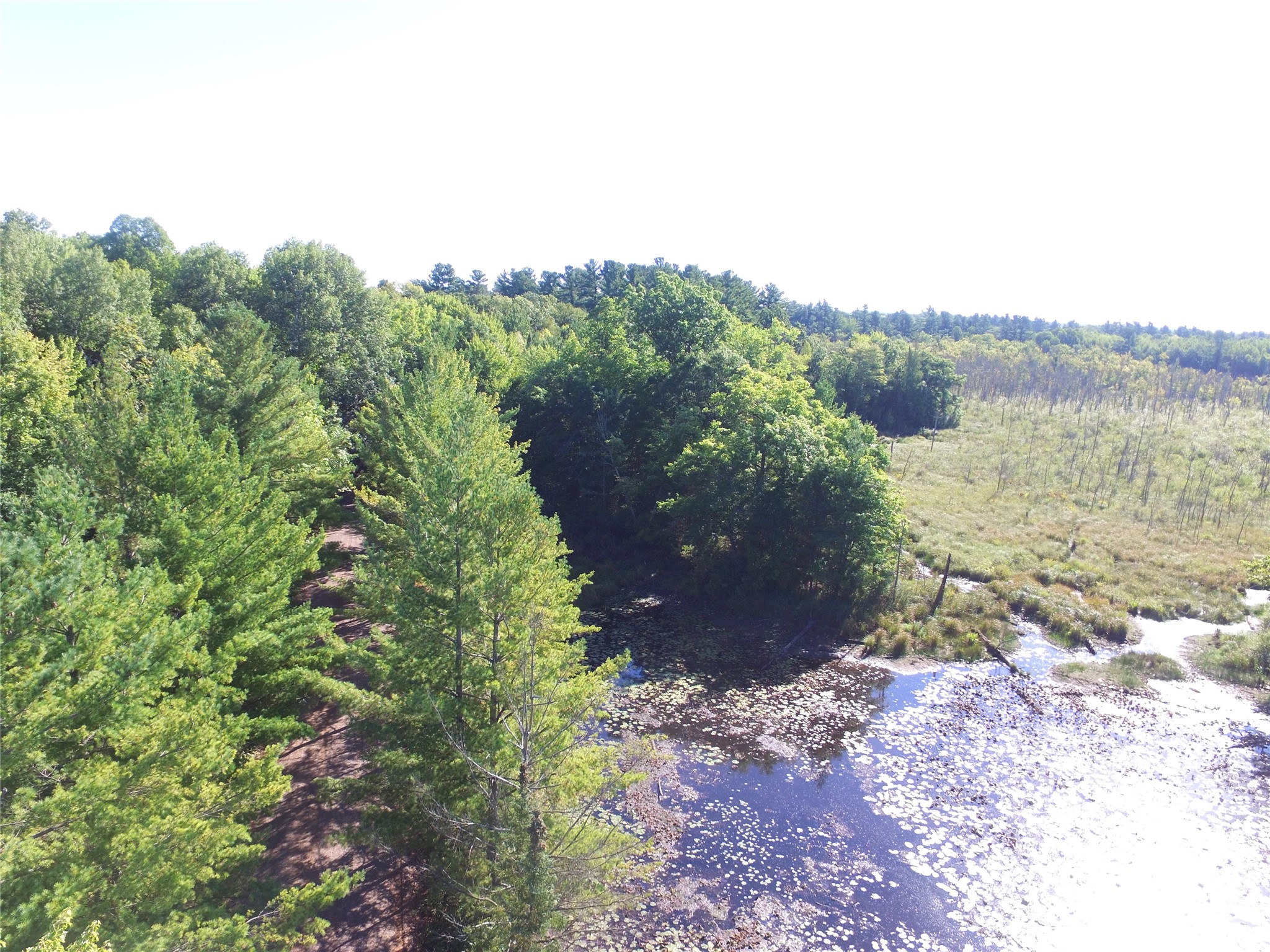 00 W State Highway 48 Property Photo 16