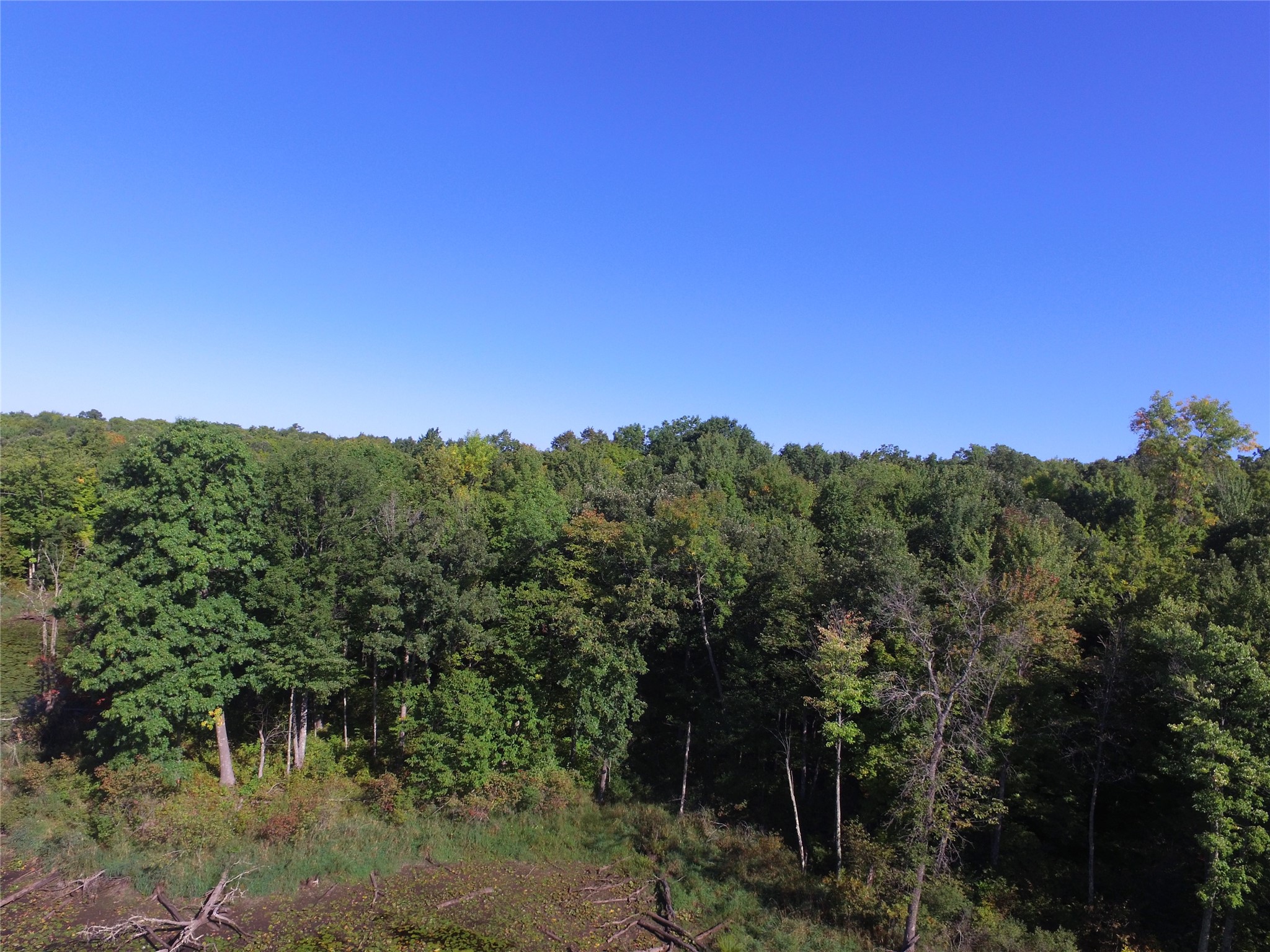 00 W State Highway 48 Property Photo 18