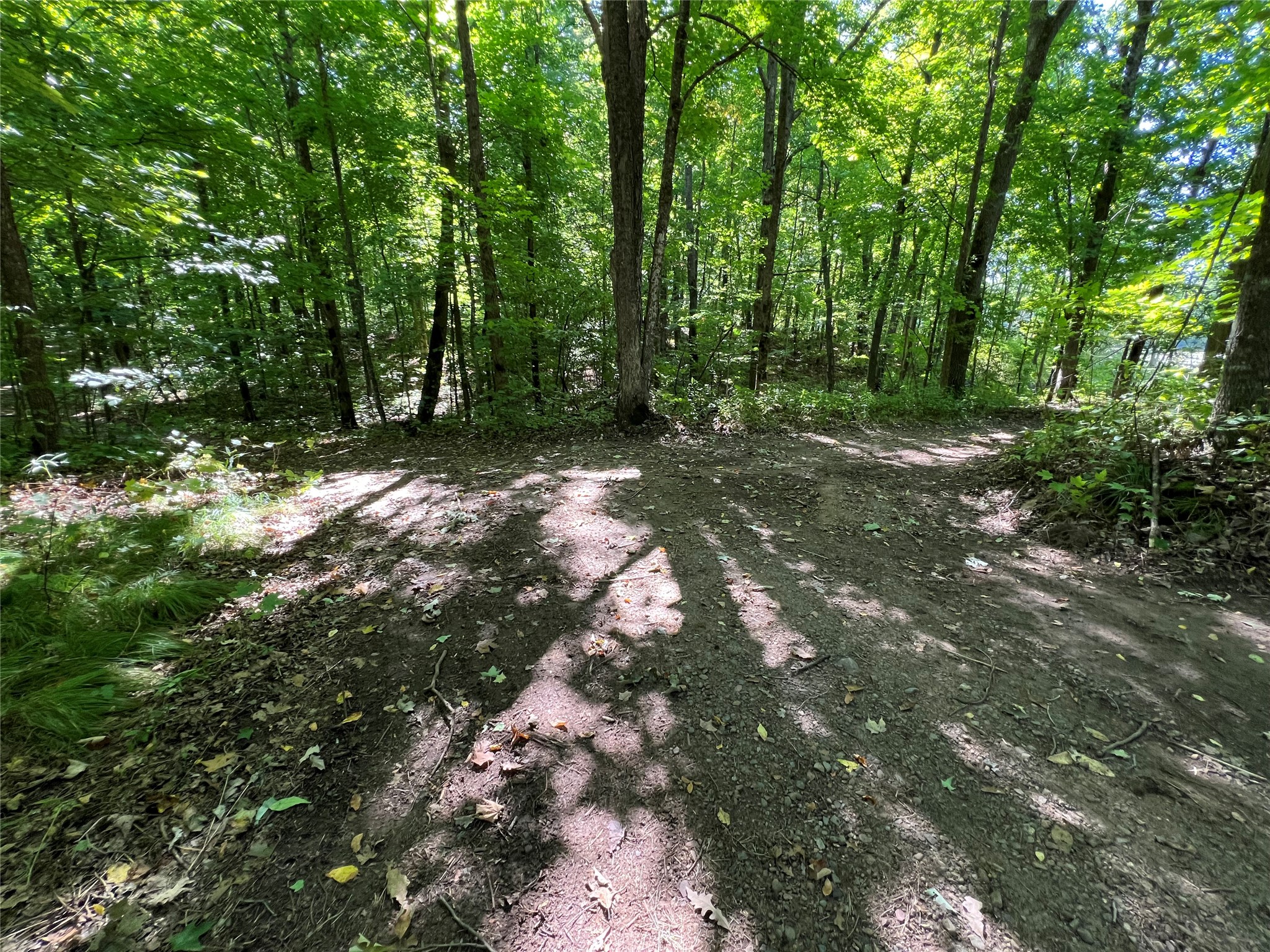 00 W State Highway 48 Property Photo 23
