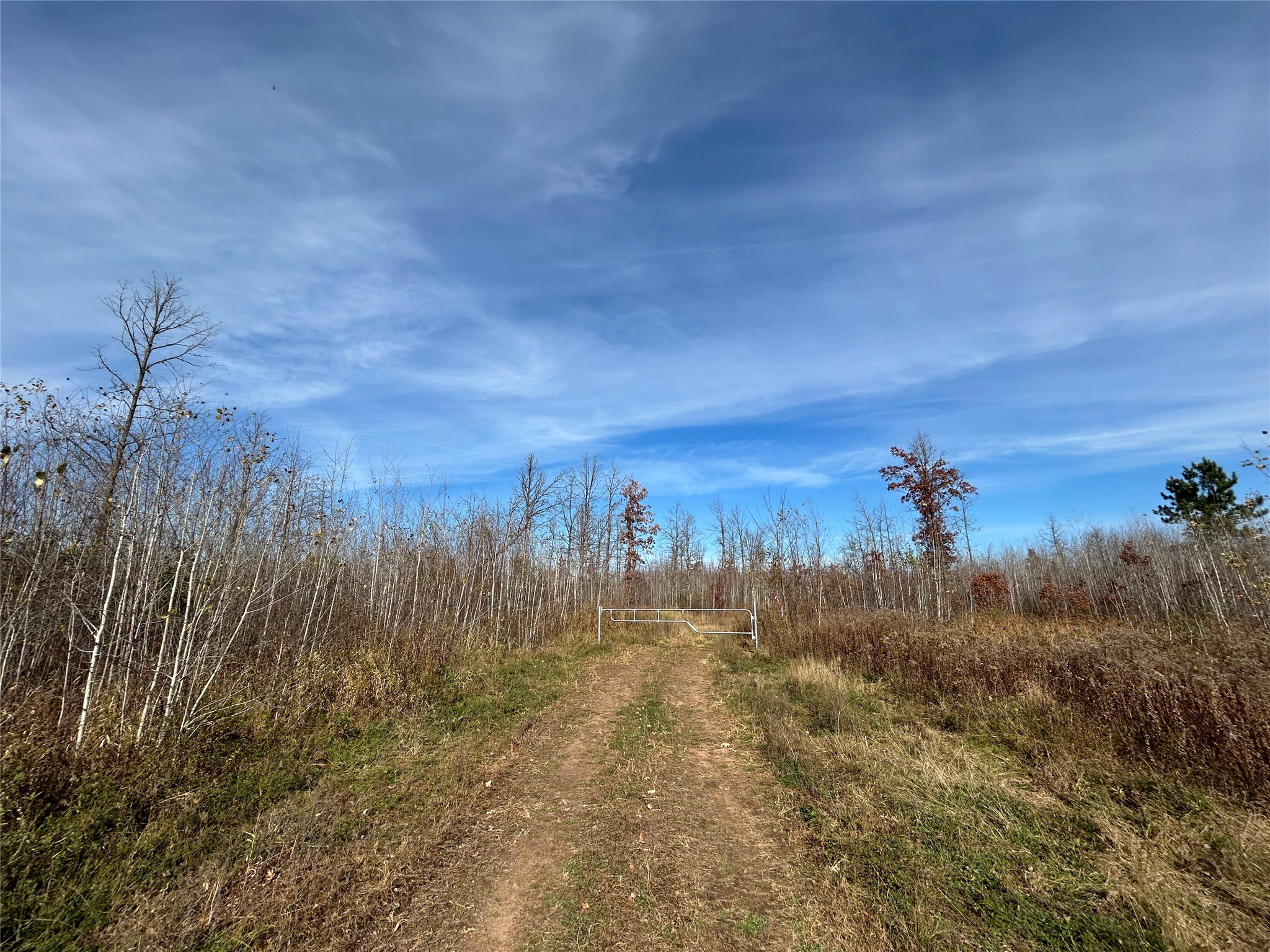 On Broken Arrow Road Property Photo 1