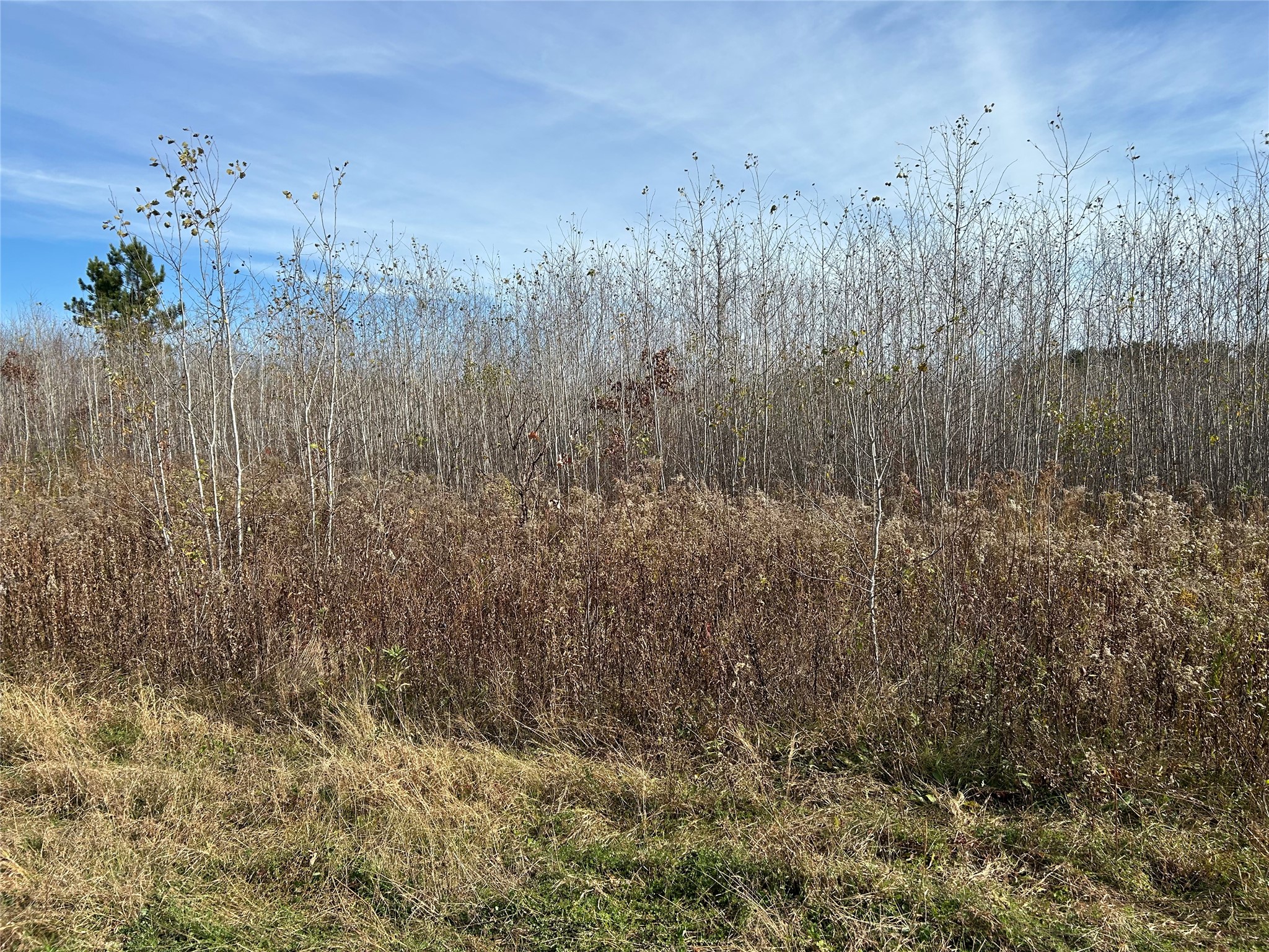 On Broken Arrow Road Property Photo 3