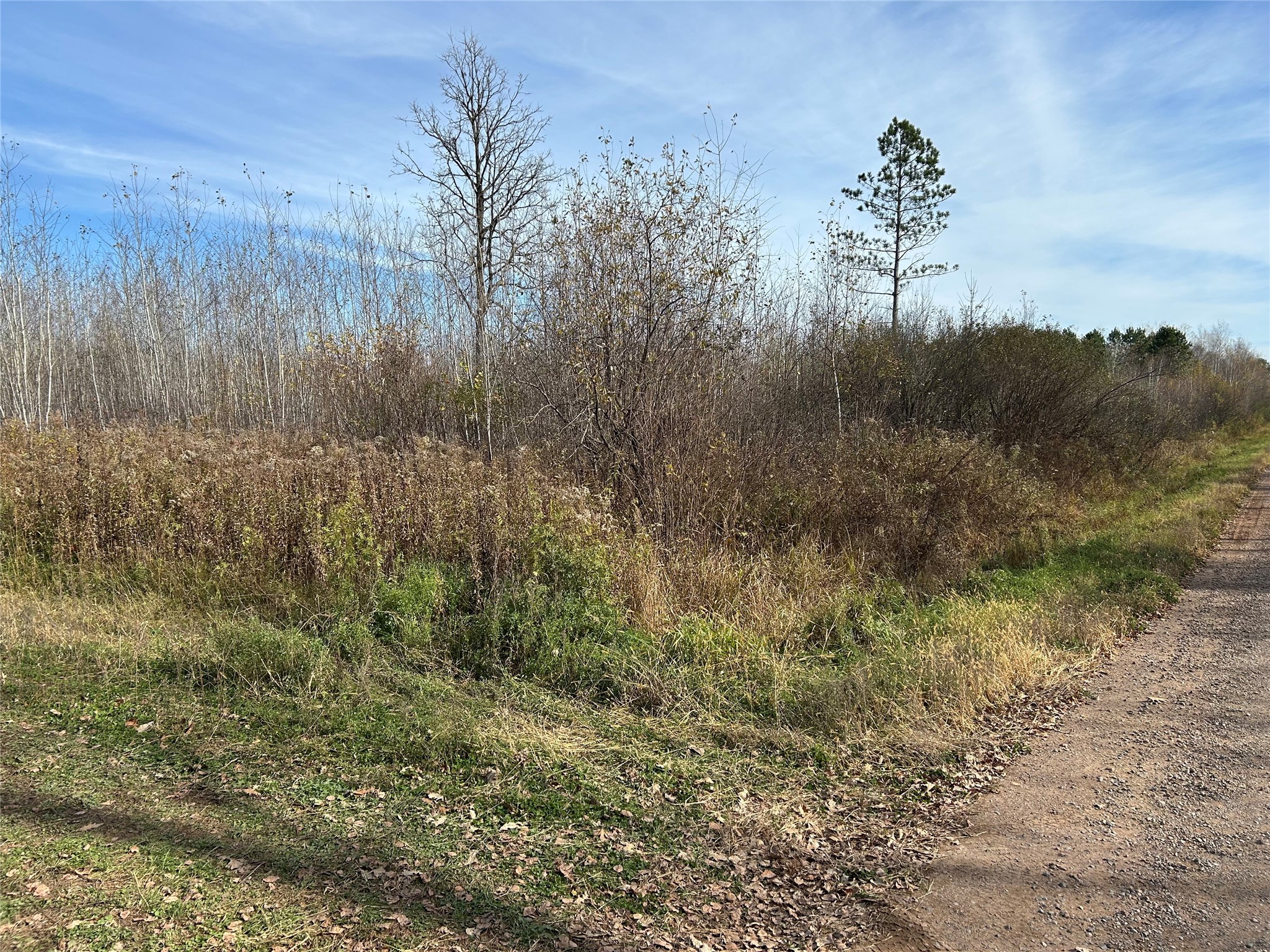 On Broken Arrow Road Property Photo 5