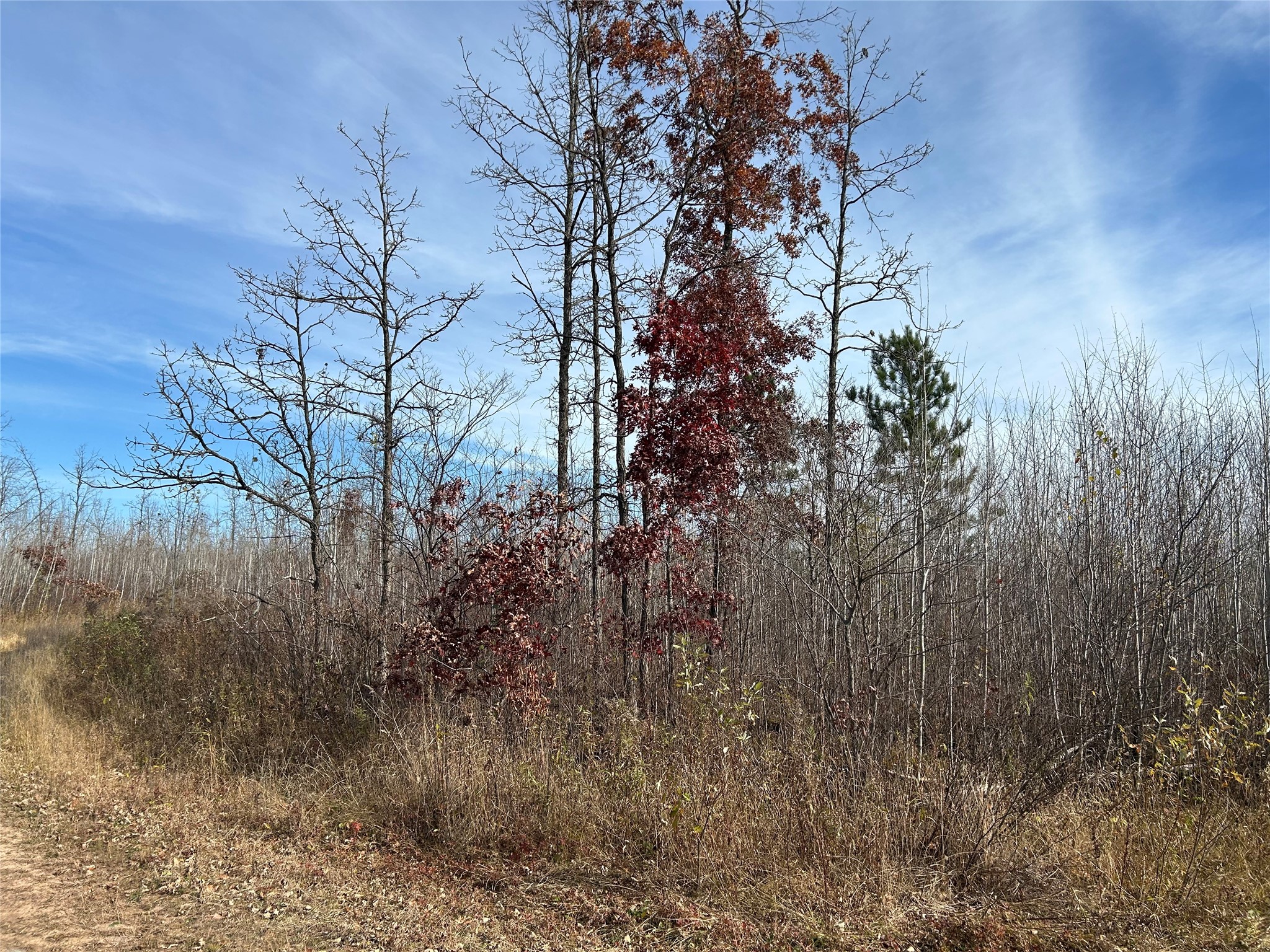 On Broken Arrow Road Property Photo 6