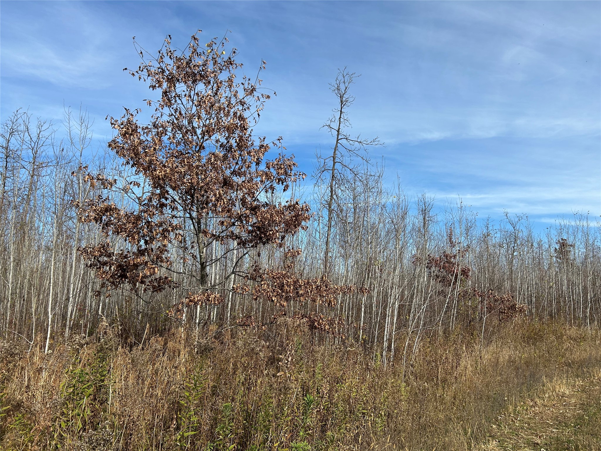 On Broken Arrow Road Property Photo 9