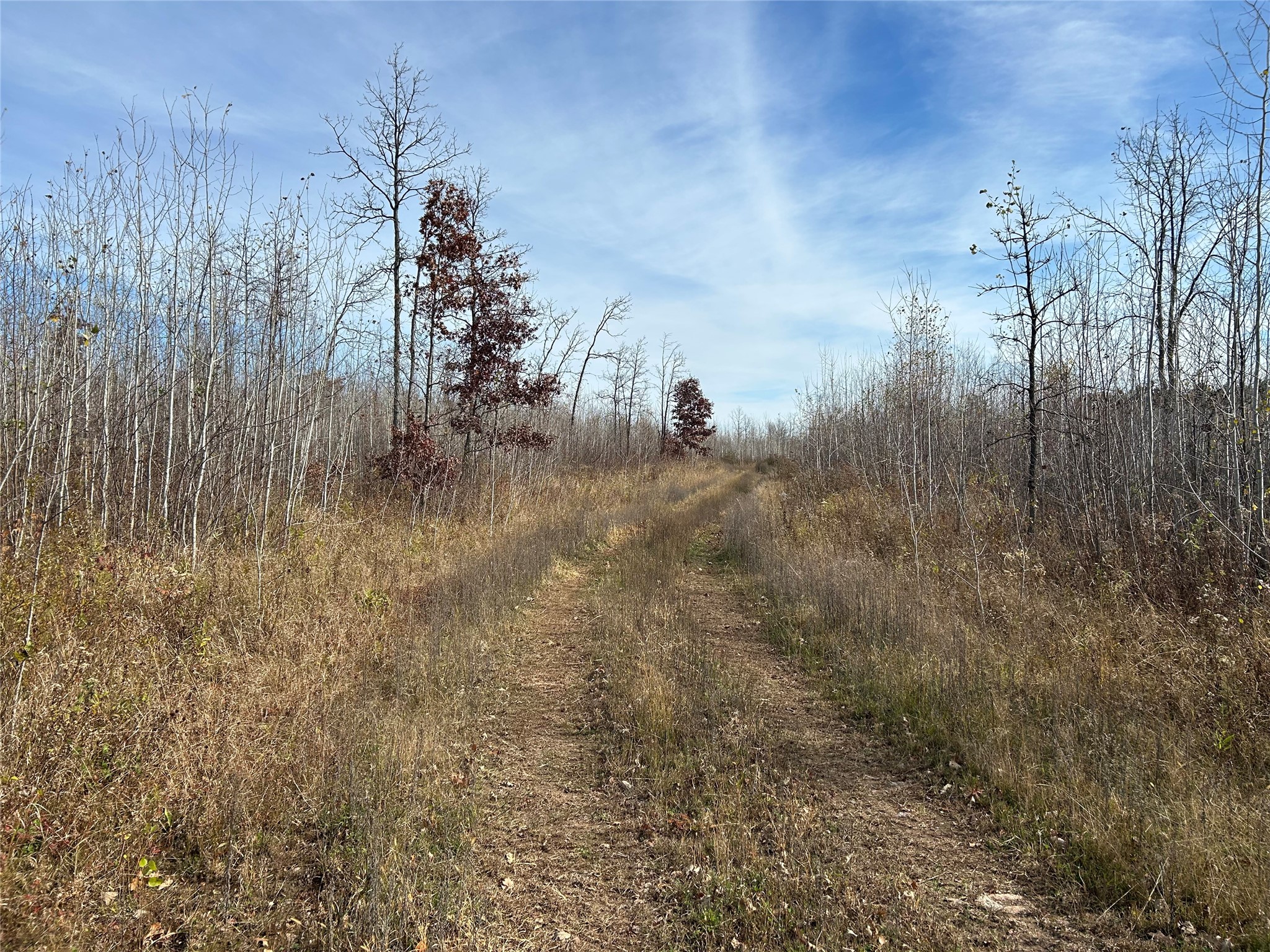 On Broken Arrow Road Property Photo 10