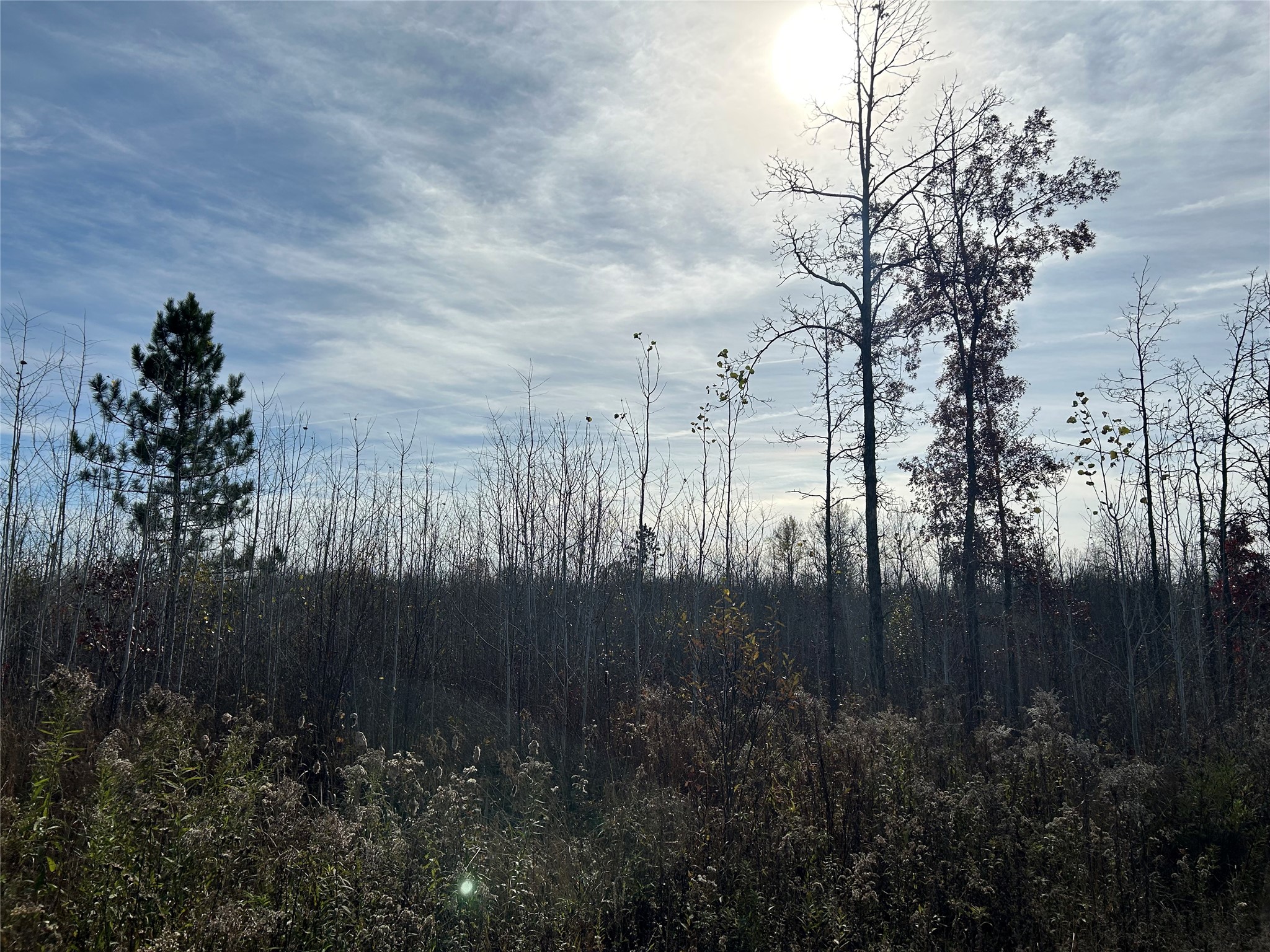 On Broken Arrow Road Property Photo 11