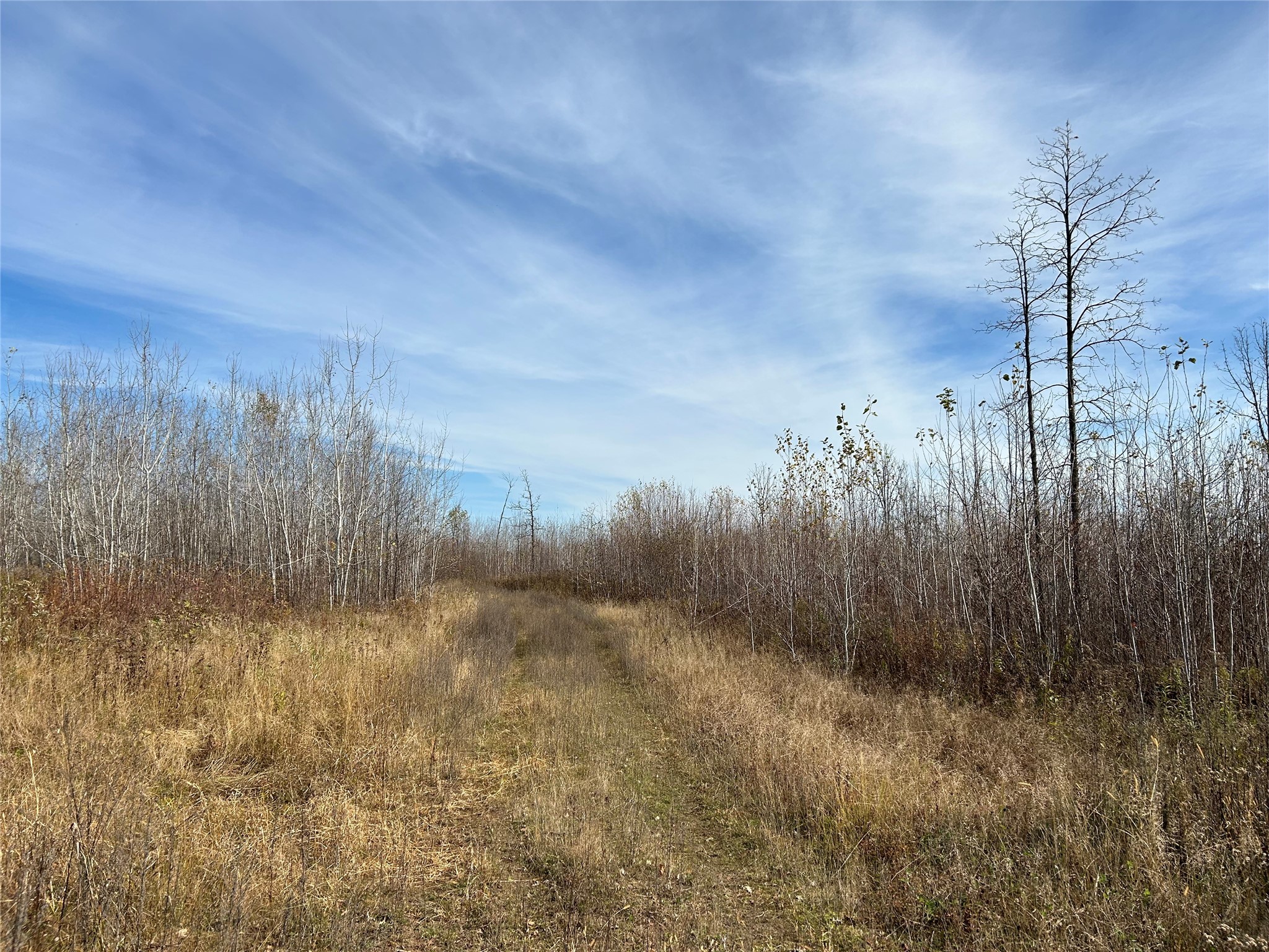 On Broken Arrow Road Property Photo 13