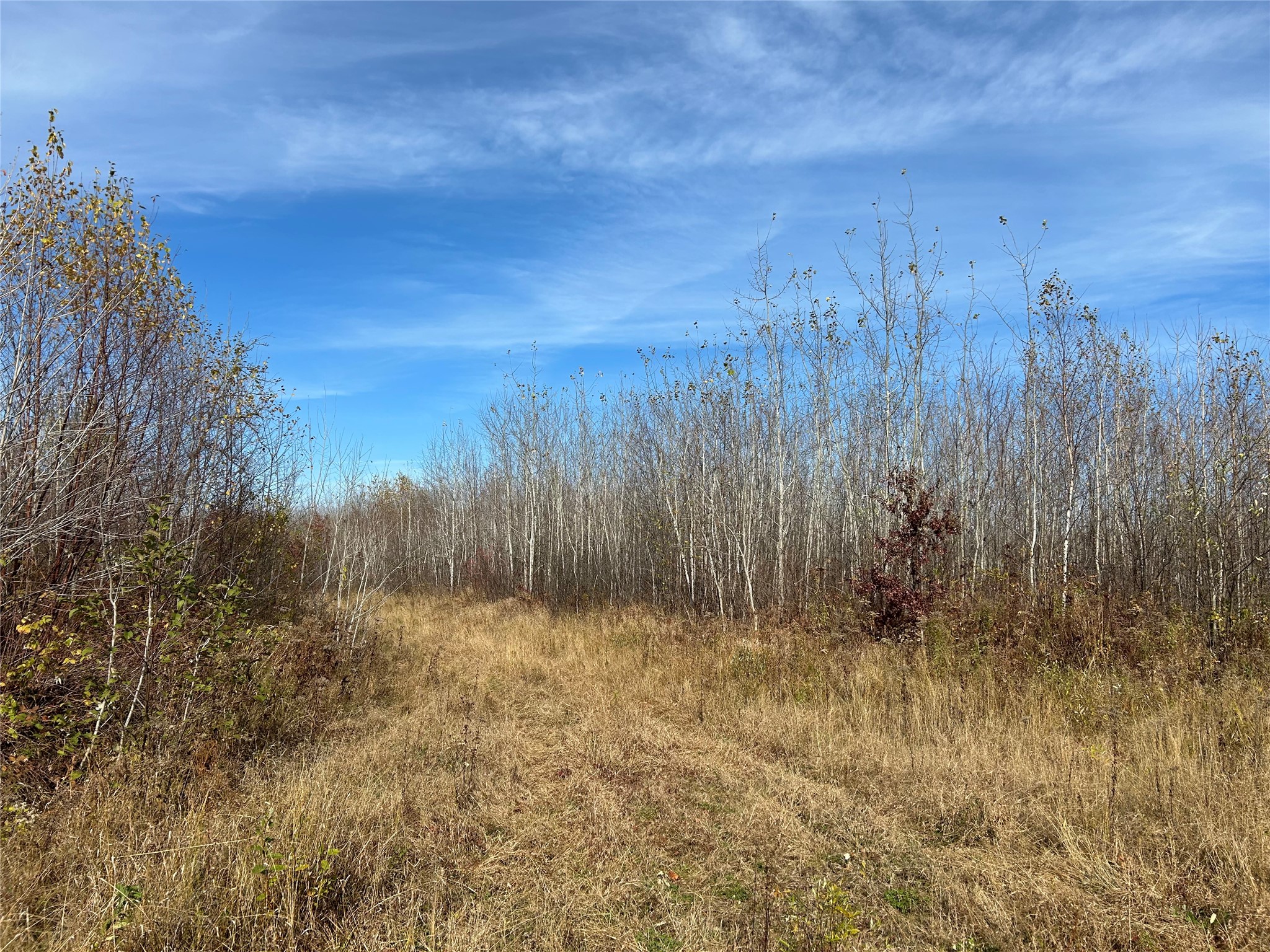 On Broken Arrow Road Property Photo 14