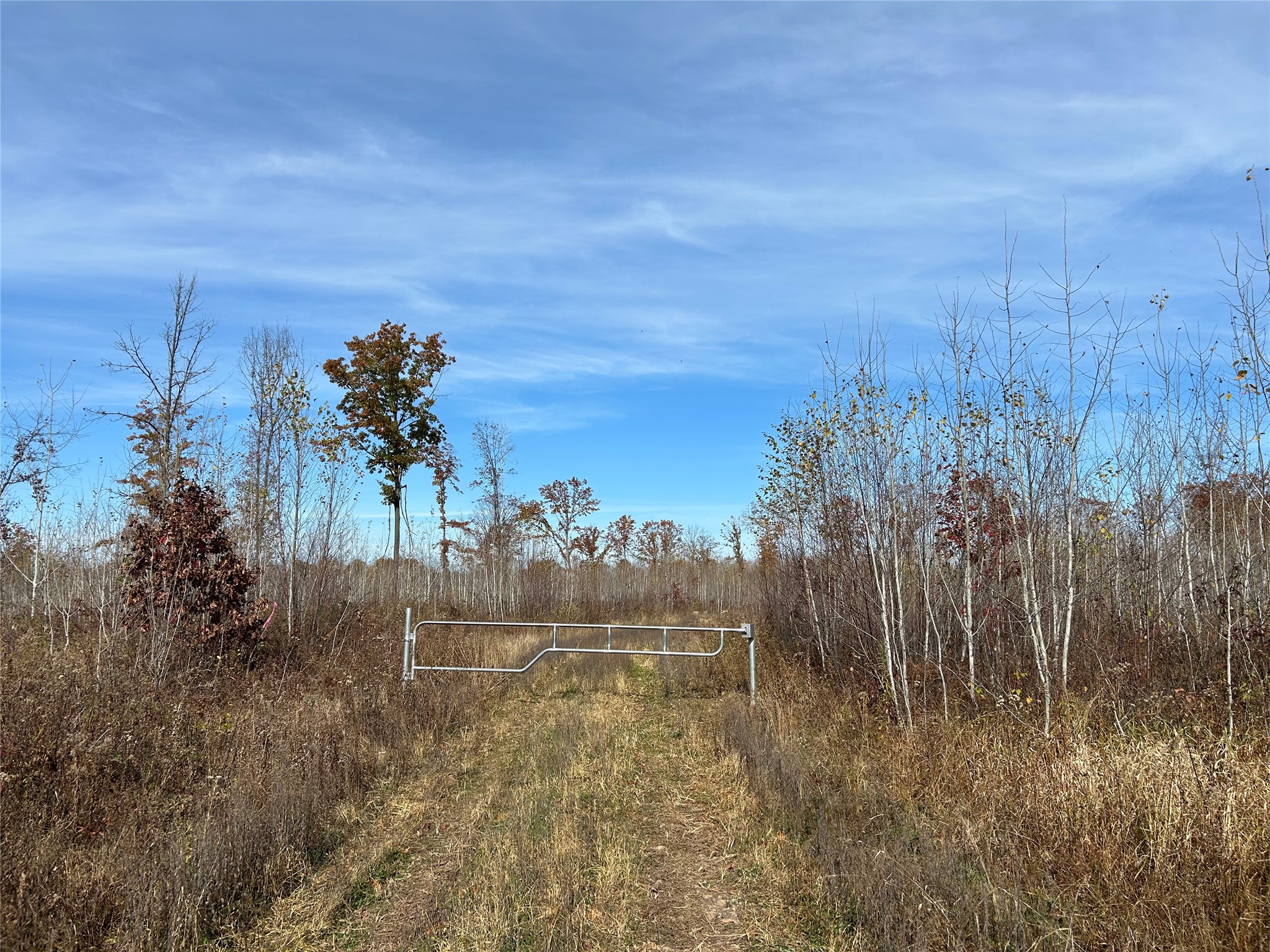 On Broken Arrow Road Property Photo 1