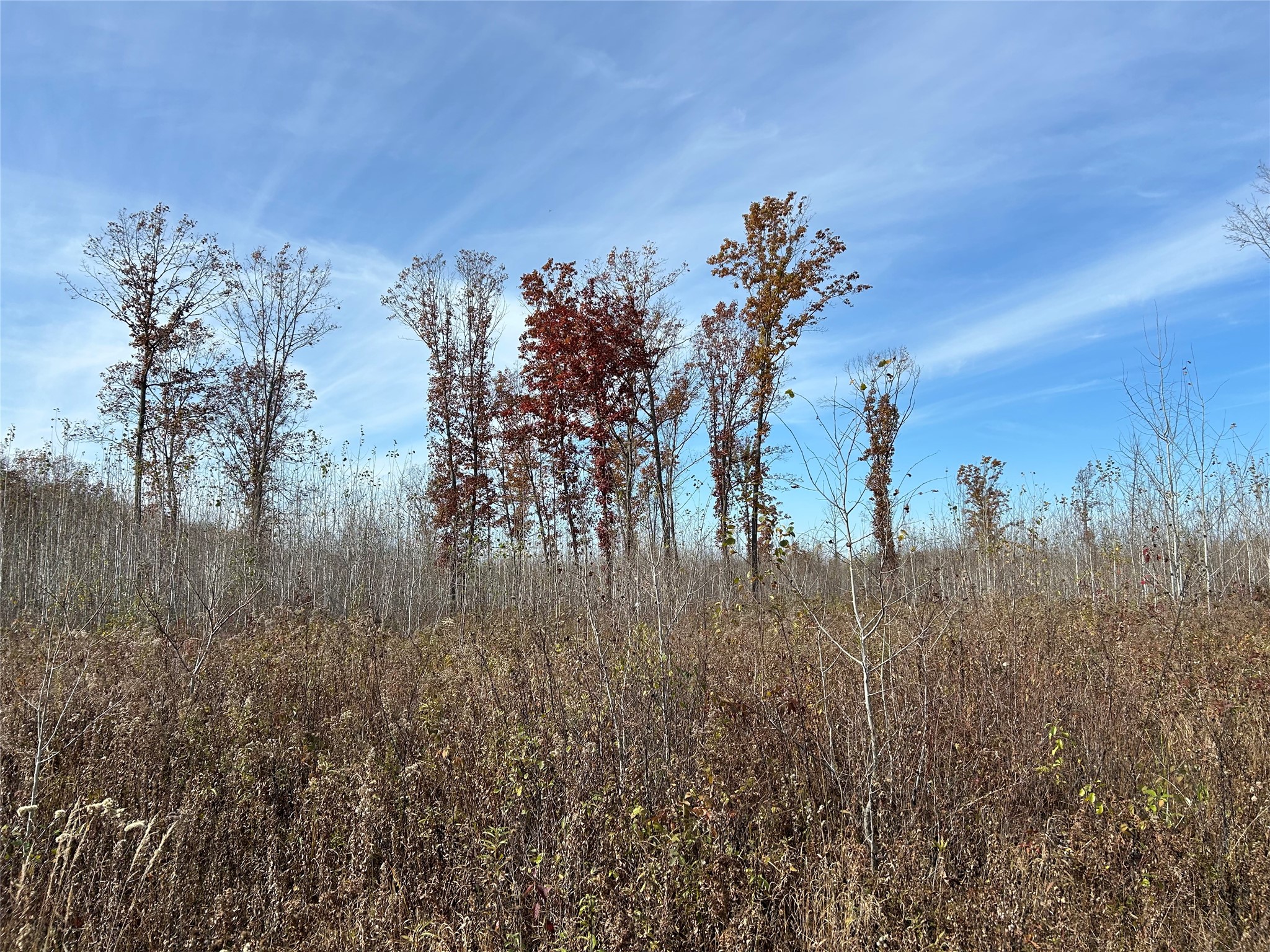 On Broken Arrow Road Property Photo 2
