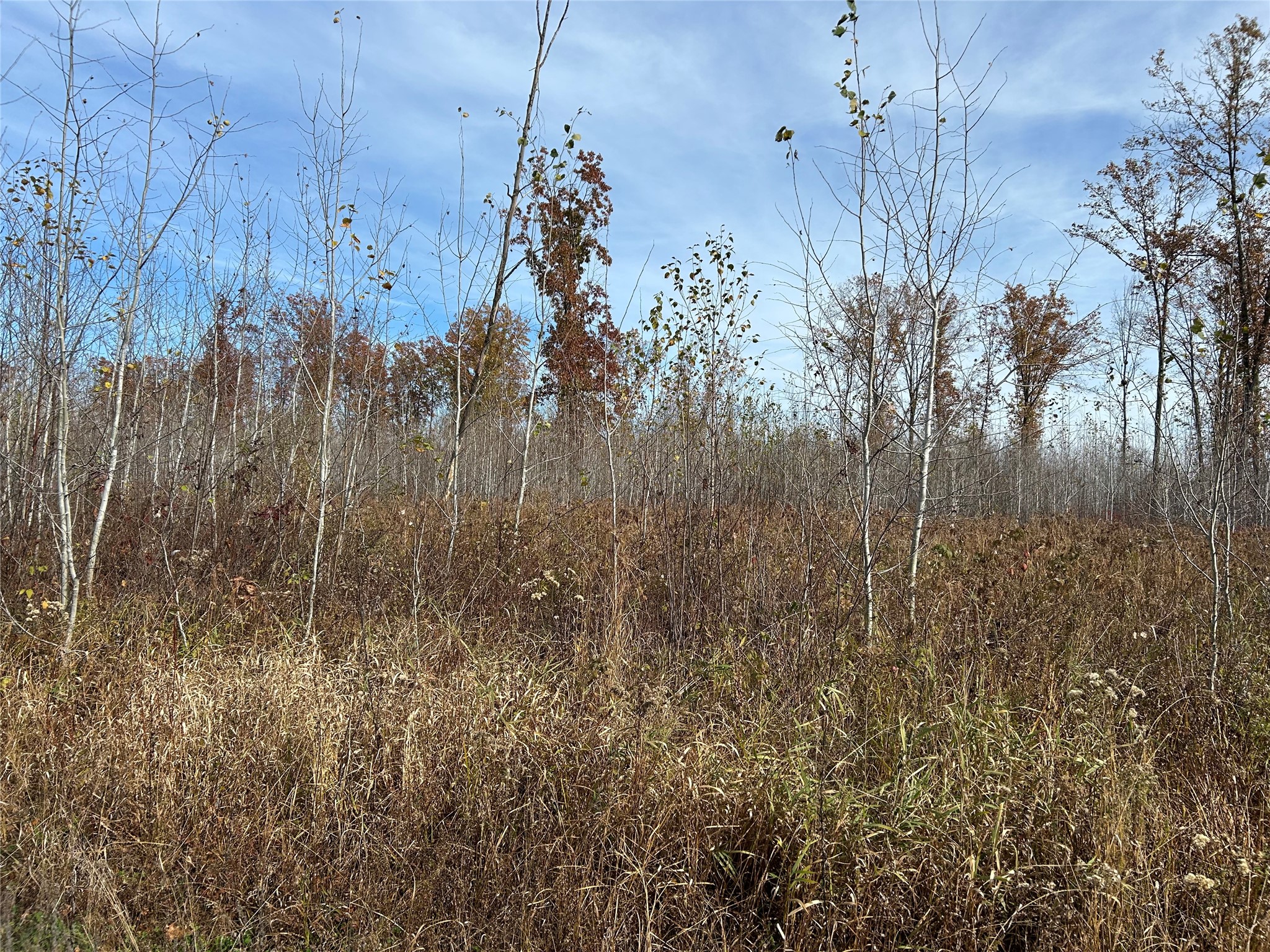 On Broken Arrow Road Property Photo 3