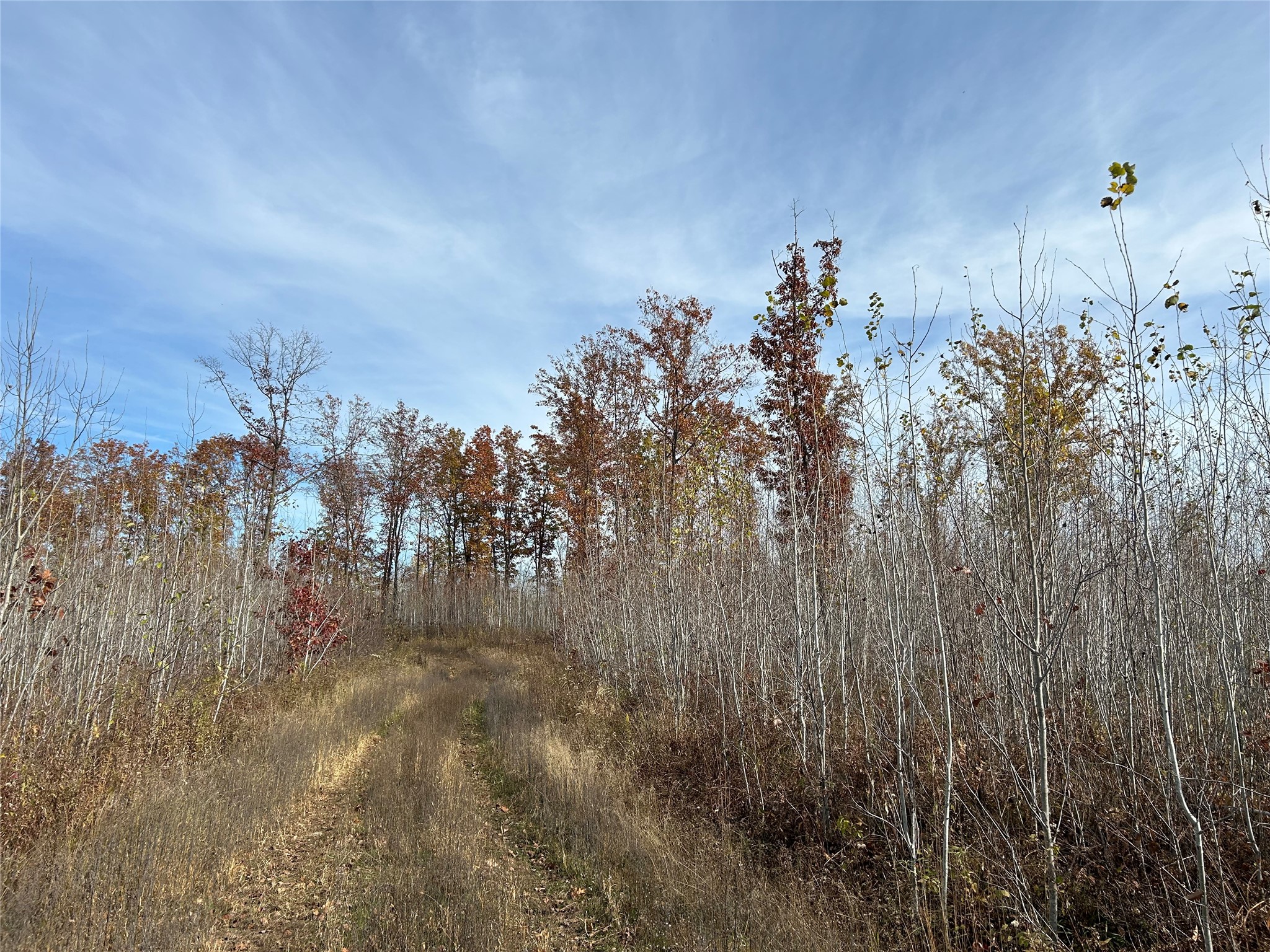 On Broken Arrow Road Property Photo 7