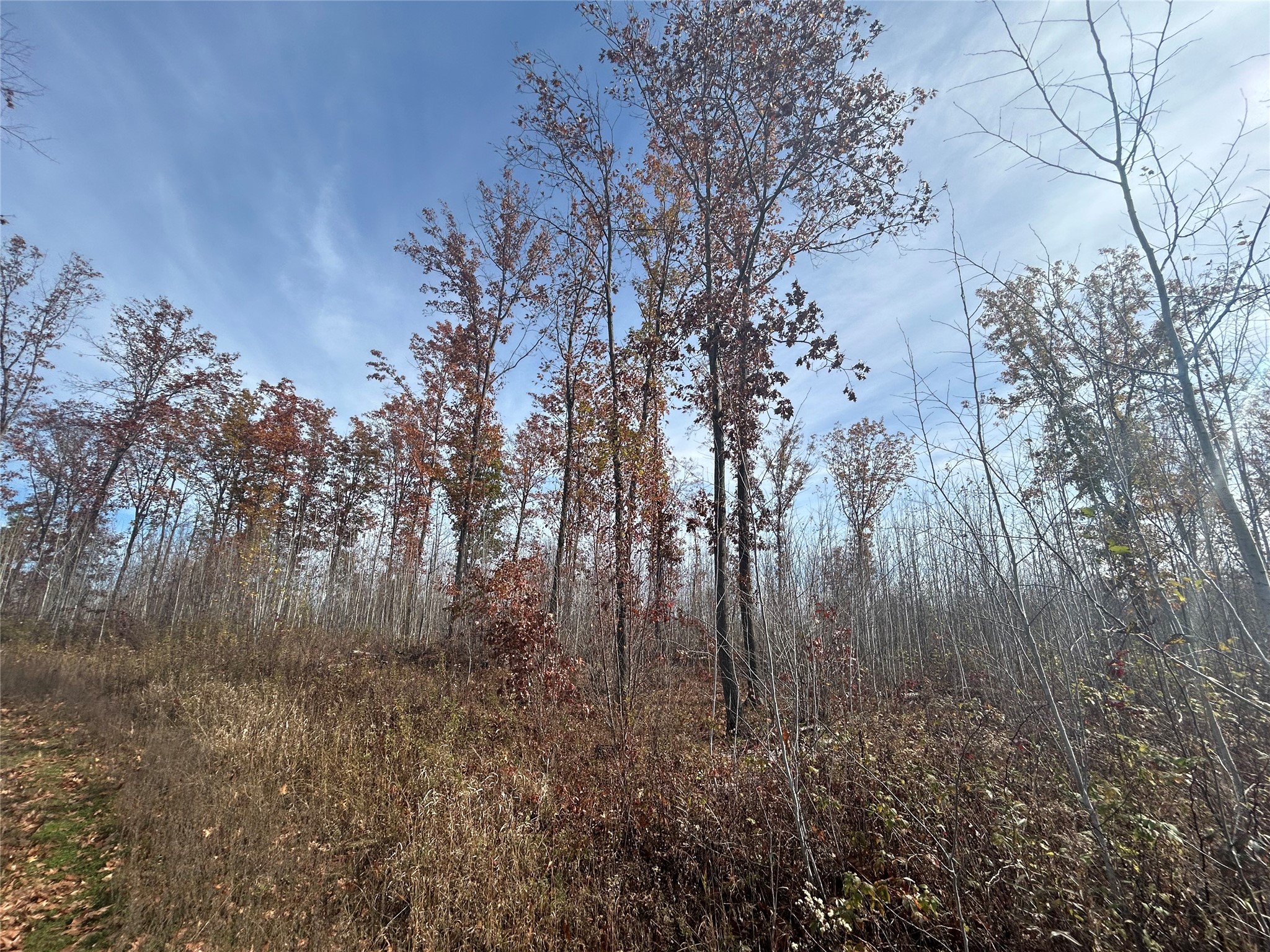 On Broken Arrow Road Property Photo 8