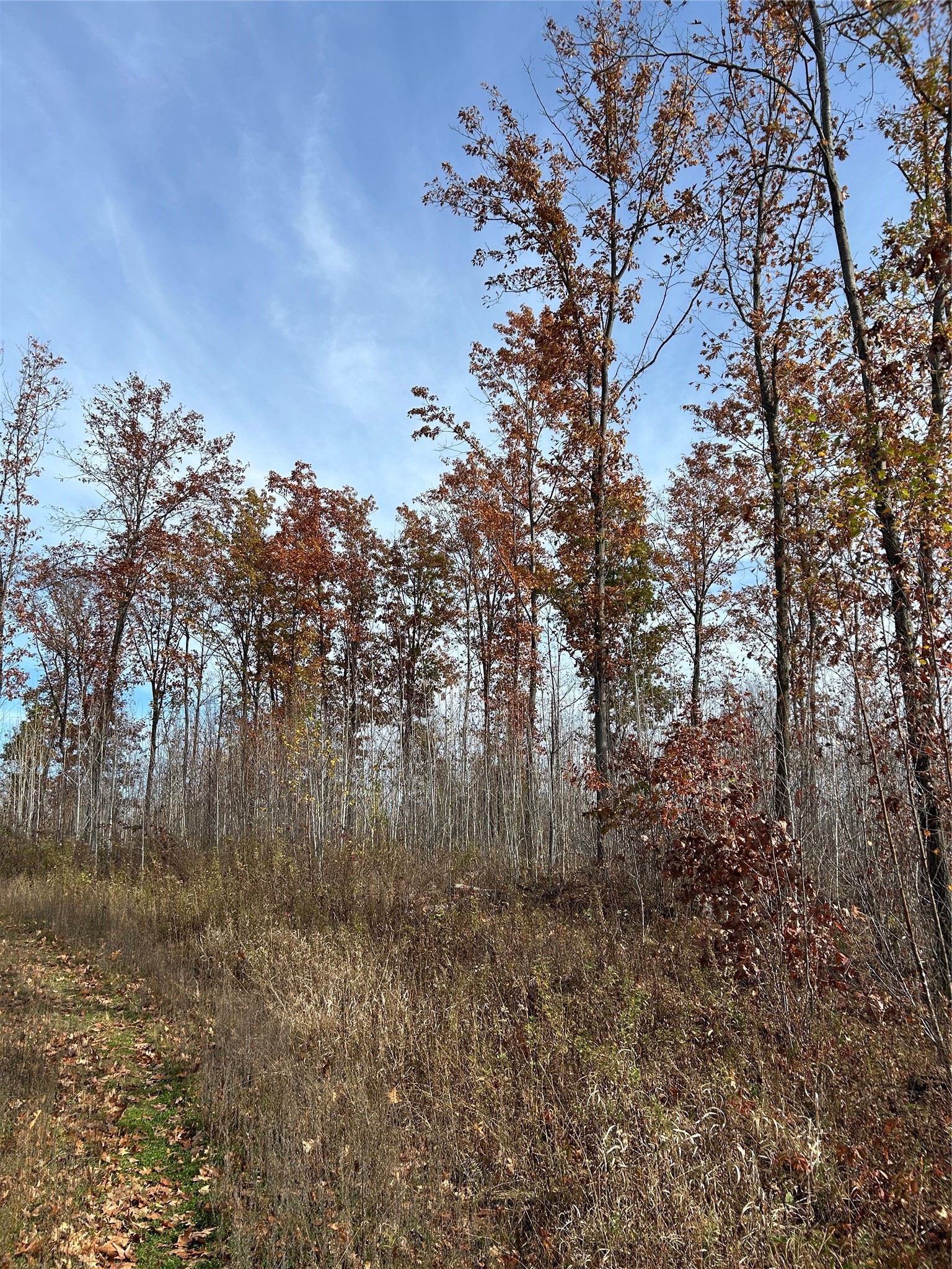 On Broken Arrow Road Property Photo 9