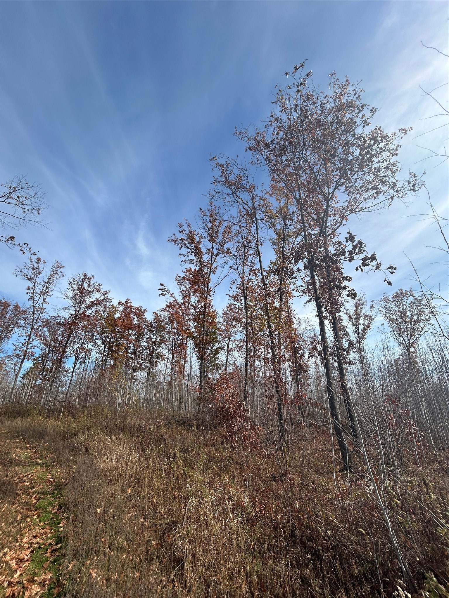 On Broken Arrow Road Property Photo 10