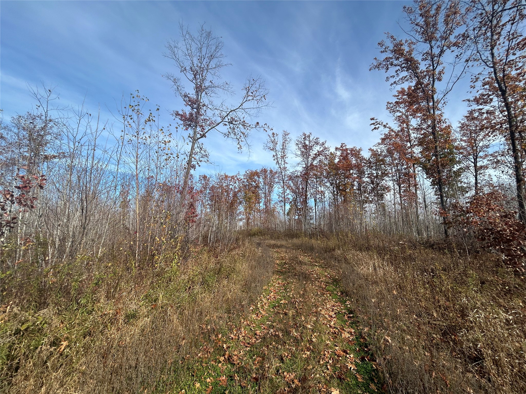On Broken Arrow Road Property Photo 11