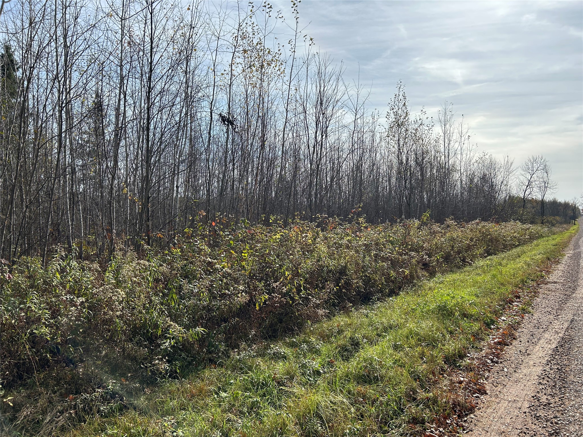 On Sheep Camp Road