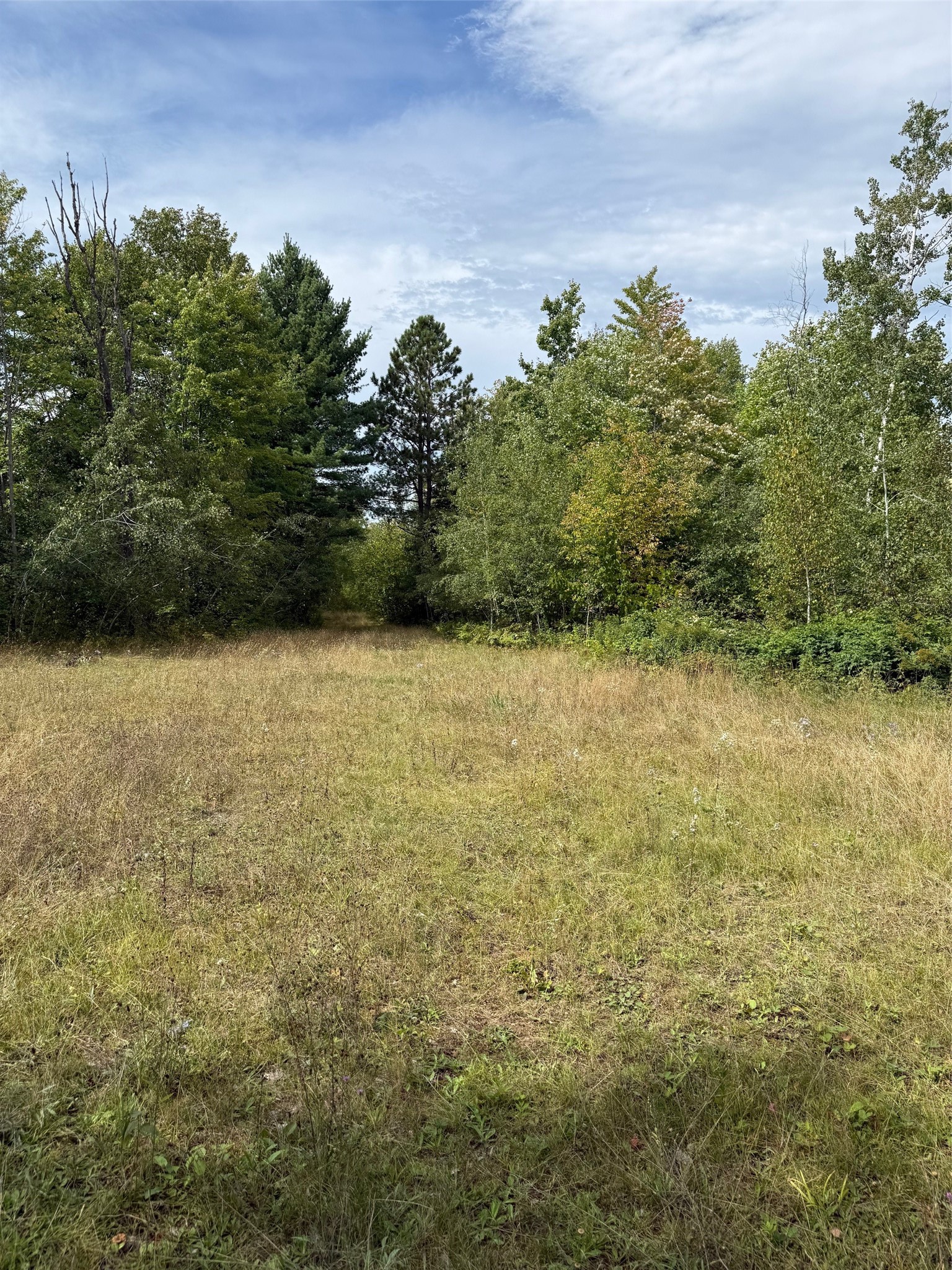0 Edgewood Drive Property Photo 2
