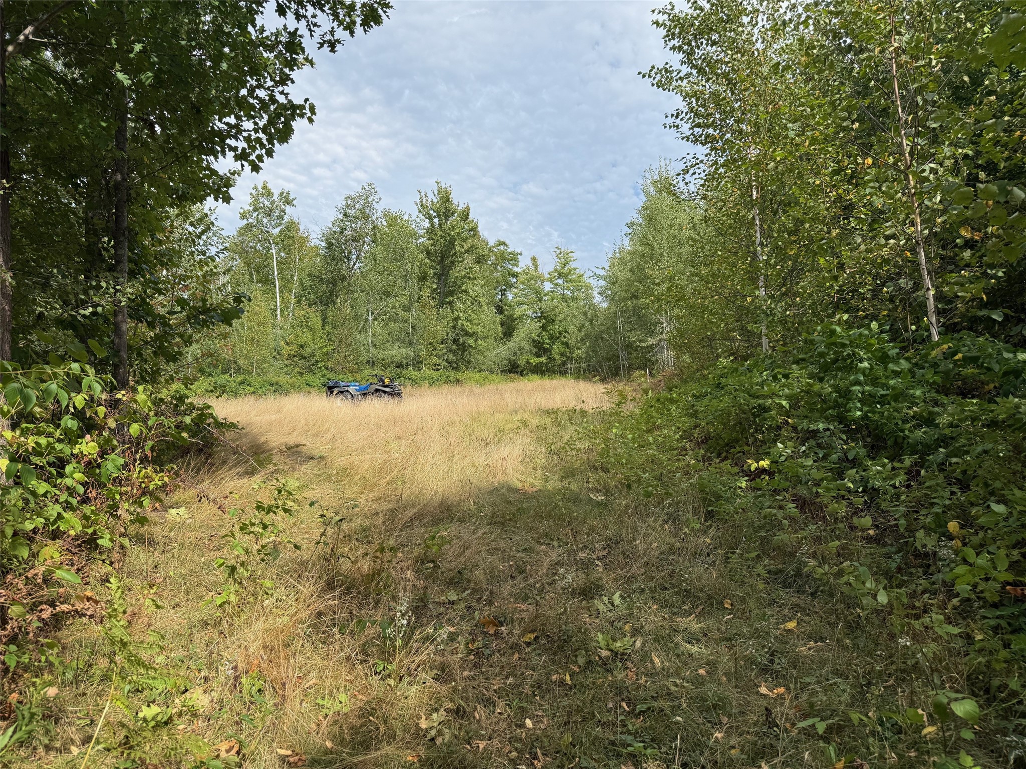 0 Edgewood Drive Property Photo 3