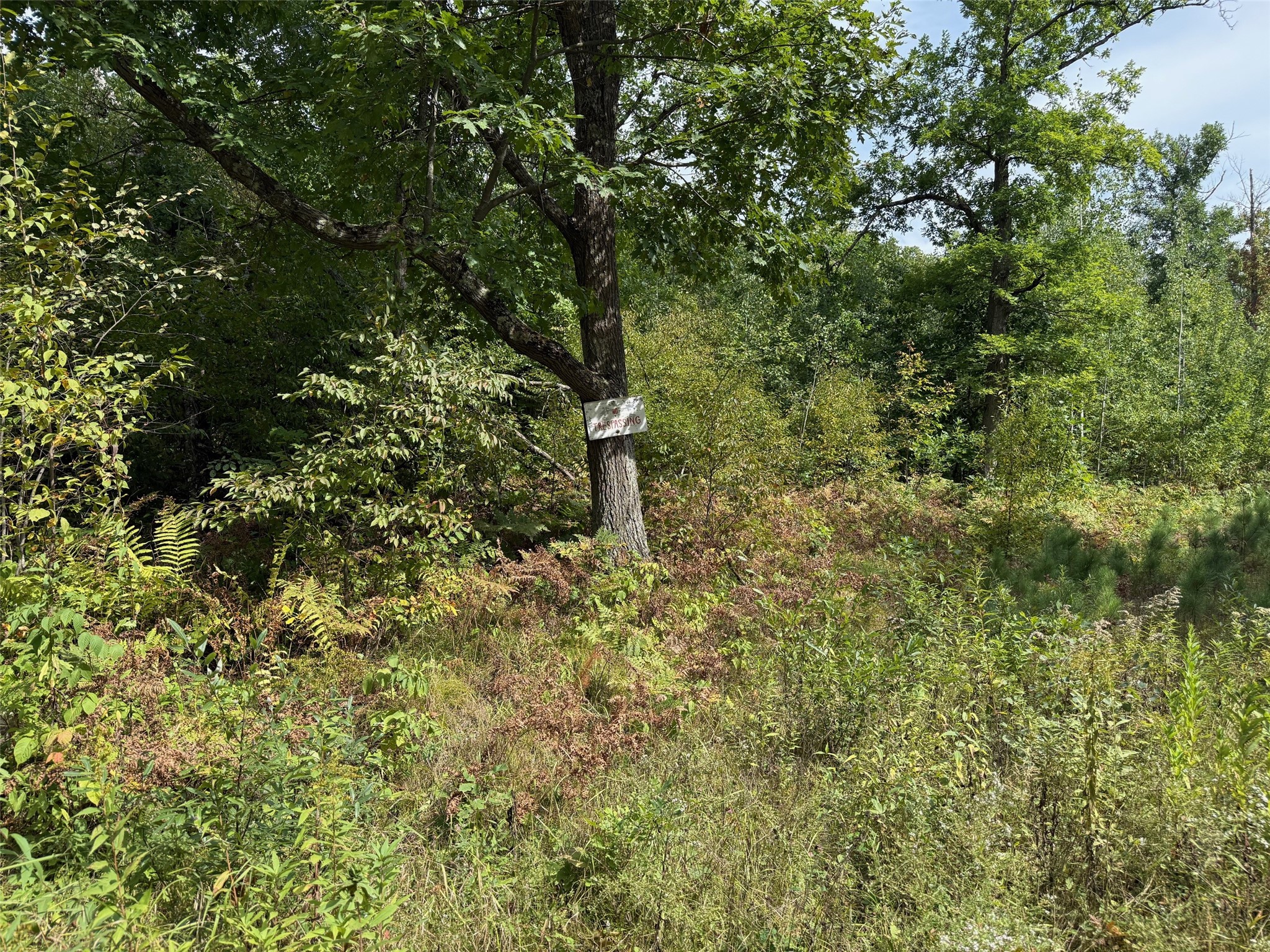 0 Edgewood Drive Property Photo 4